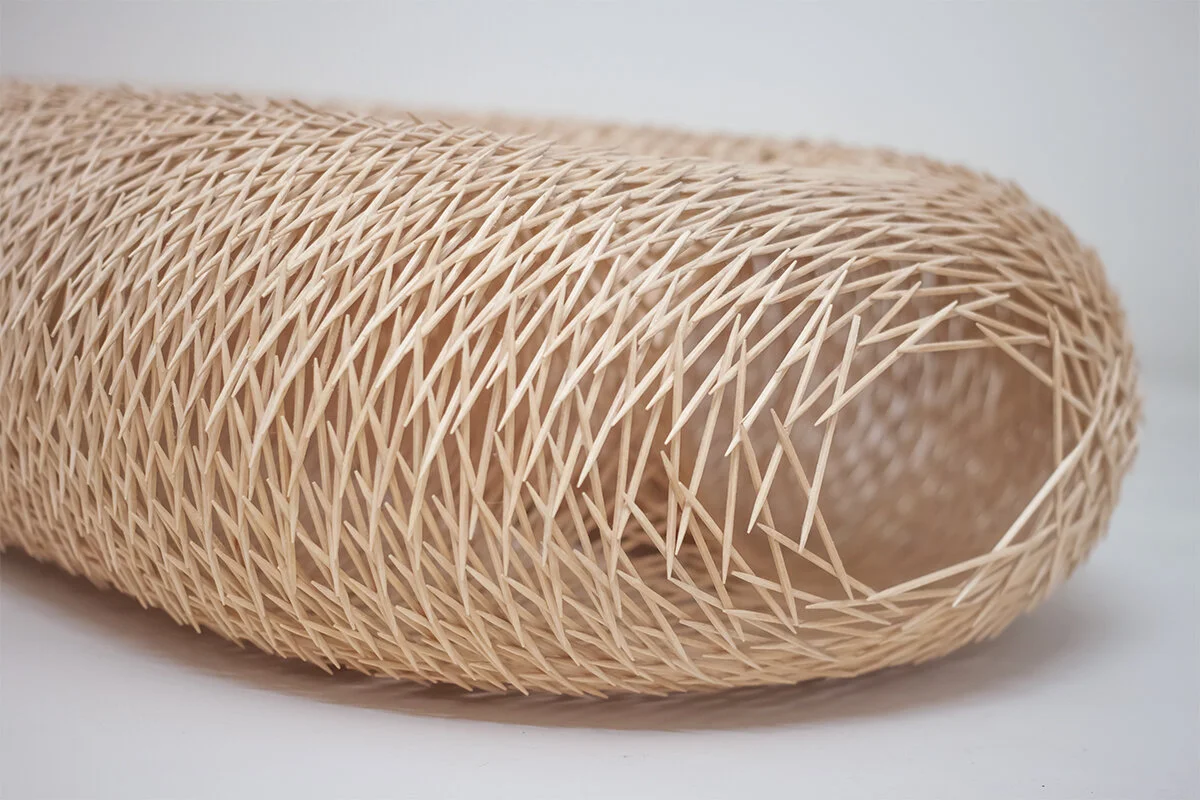 07_torus ii_zoom.jpg