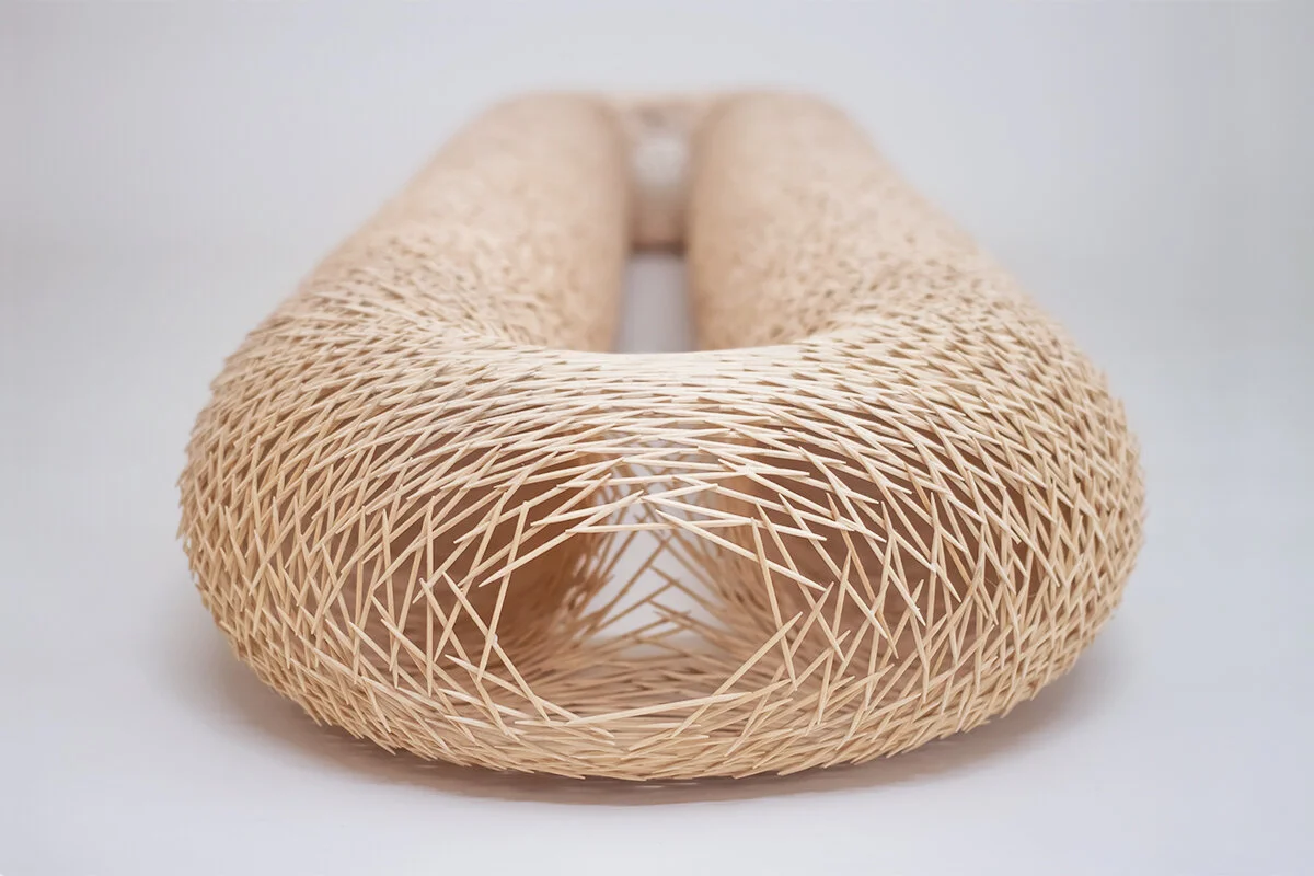 08_torus ii_zoom.jpg