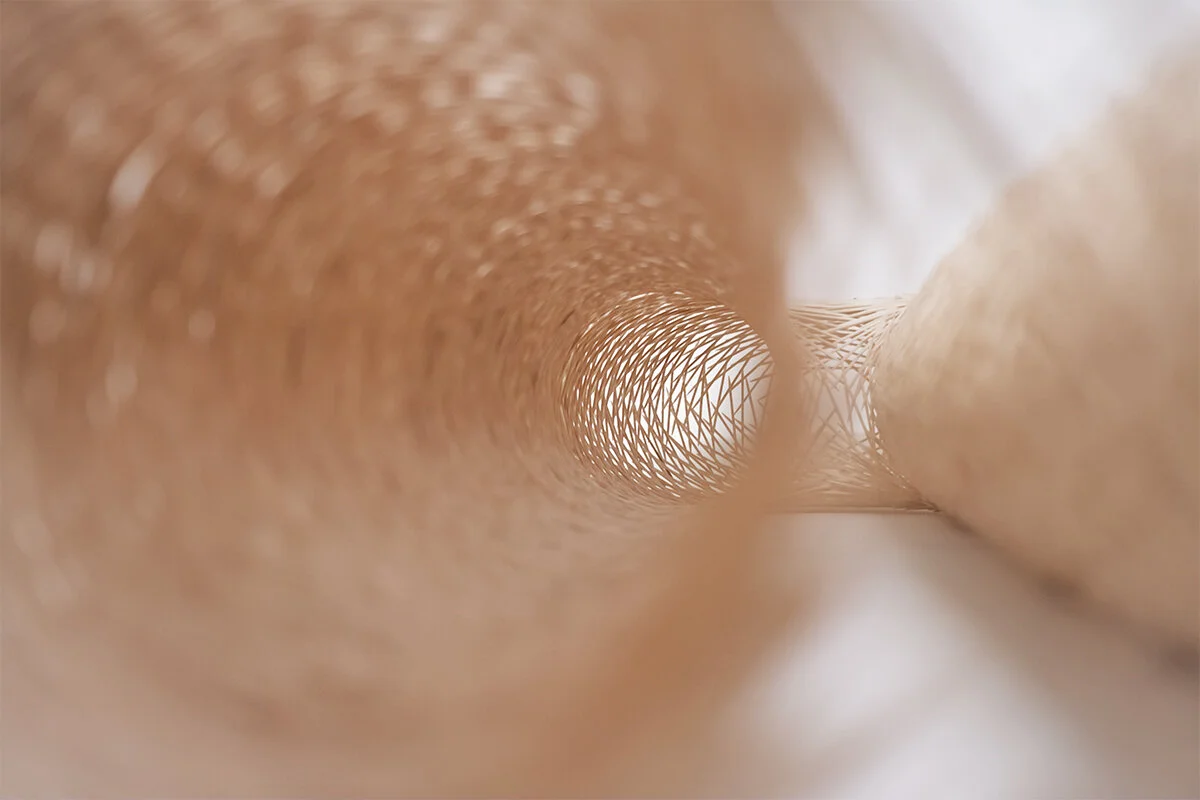 09_torus ii_zoom.jpg