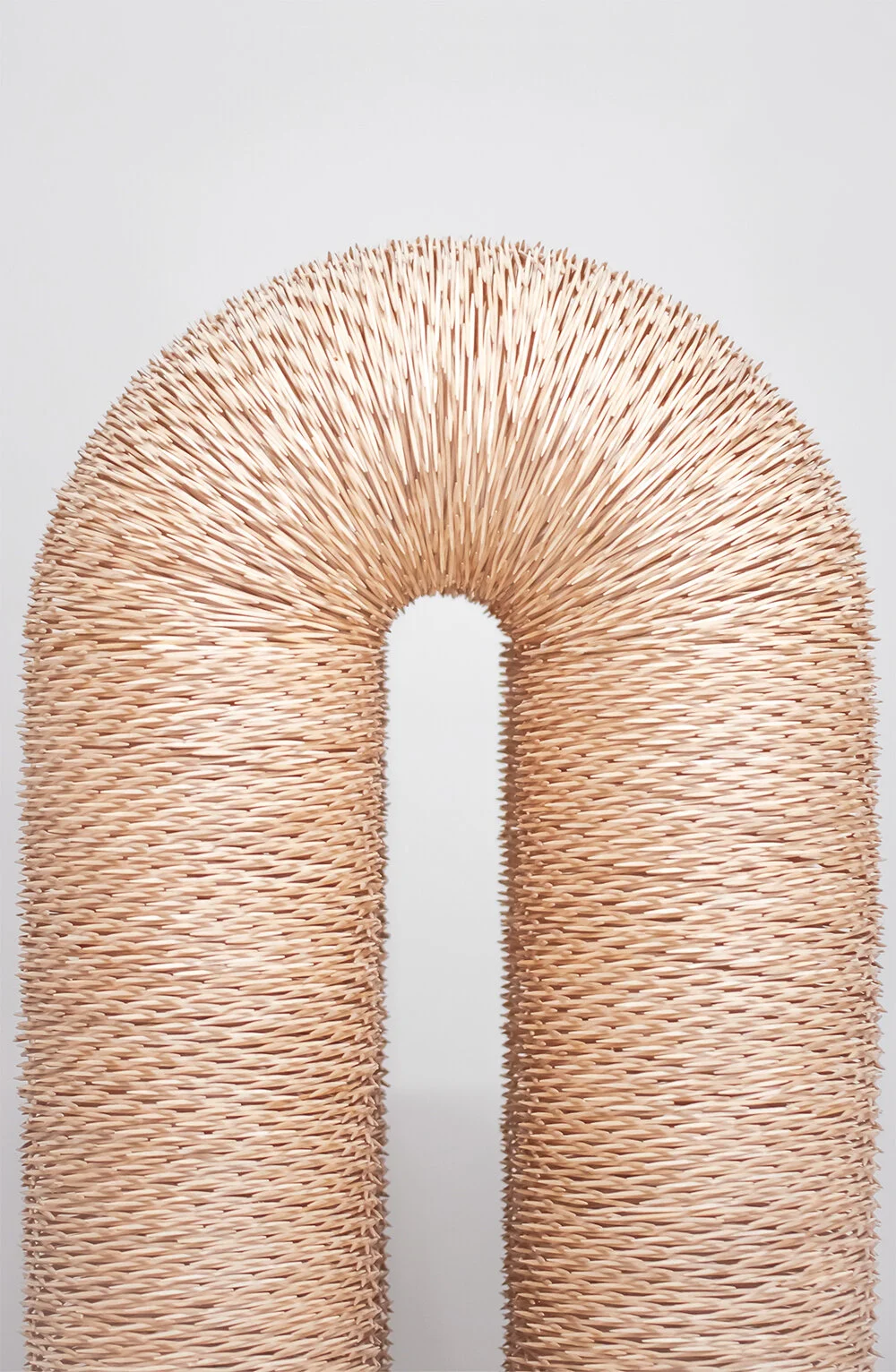 05_torus iv_zoom.jpg