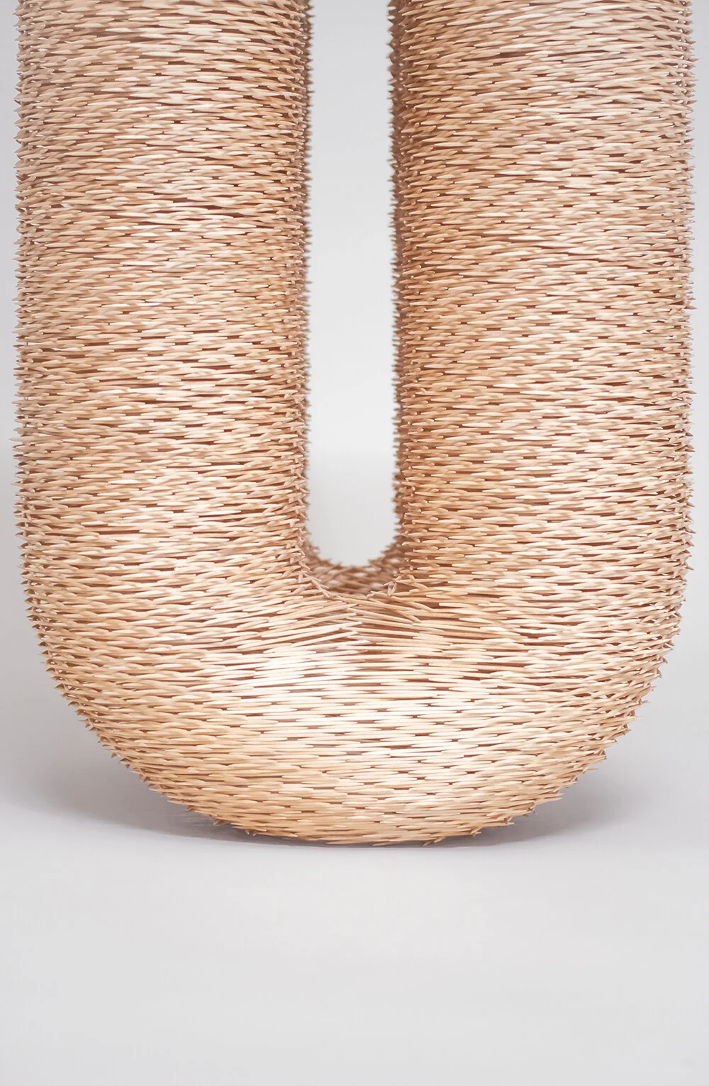 06_torus iv_zoom.jpg