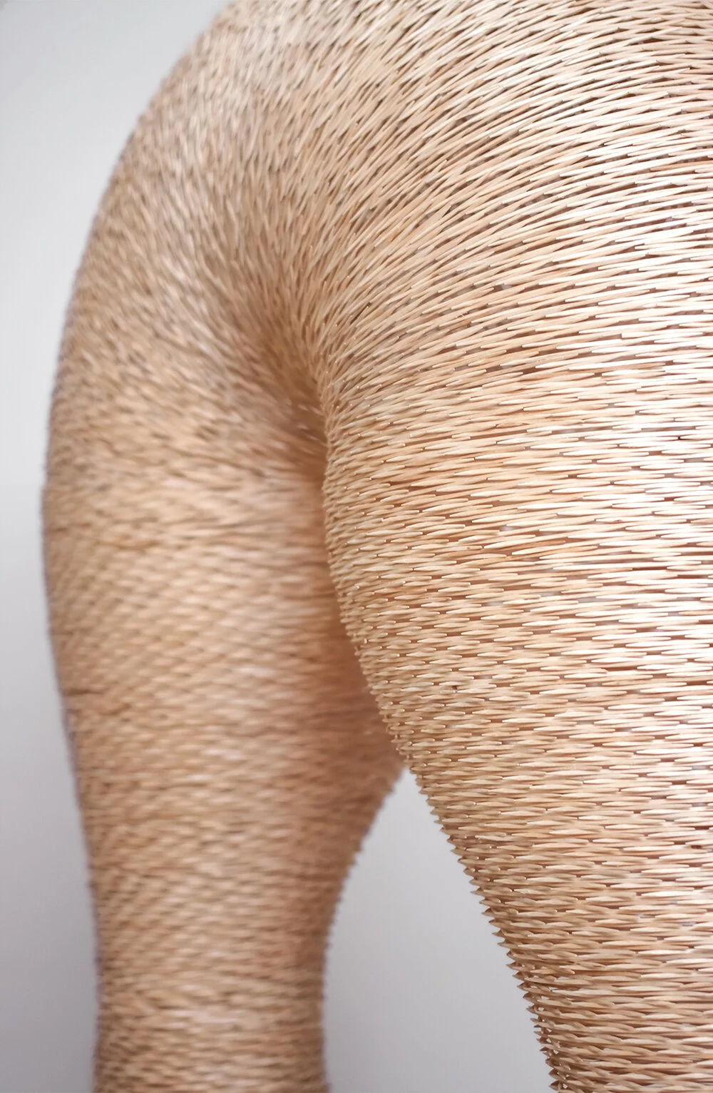 09_aperture ii_zoom.jpg