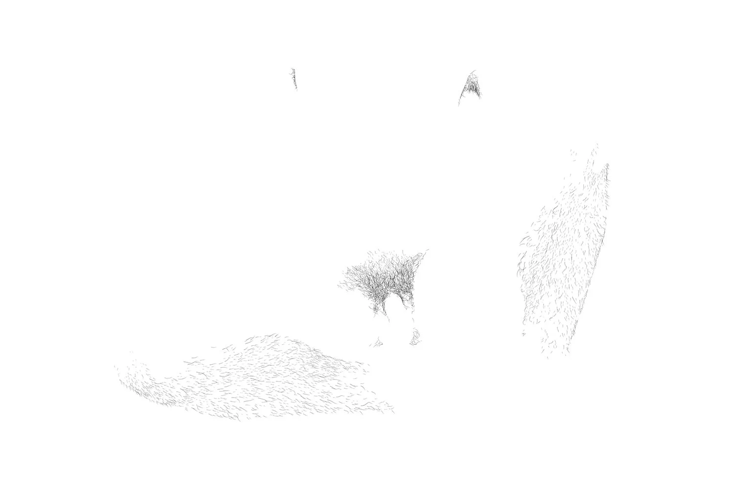 CHINESE MALE 01 | 25 | 01 - 33.33% 12x18s.jpg