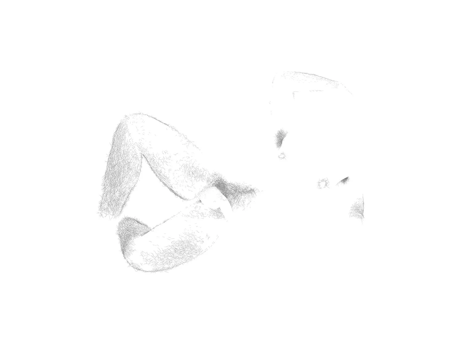 COSTA RICAN MALE 01 | 26 | 01 - 33.33% 18x24s.jpg