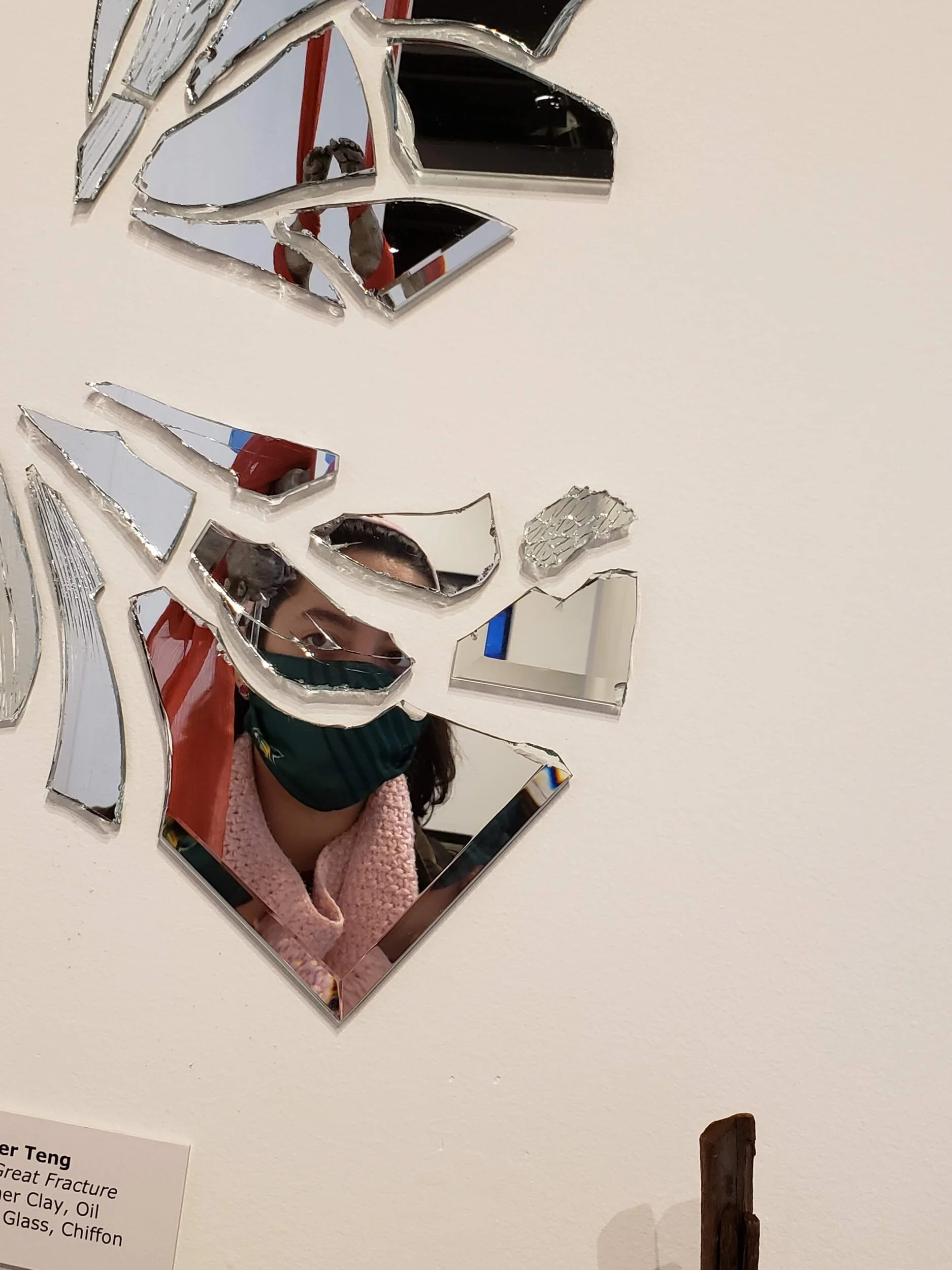 The fragmented reflection creates strain as the viewer attempts to make sense of the resulting image.