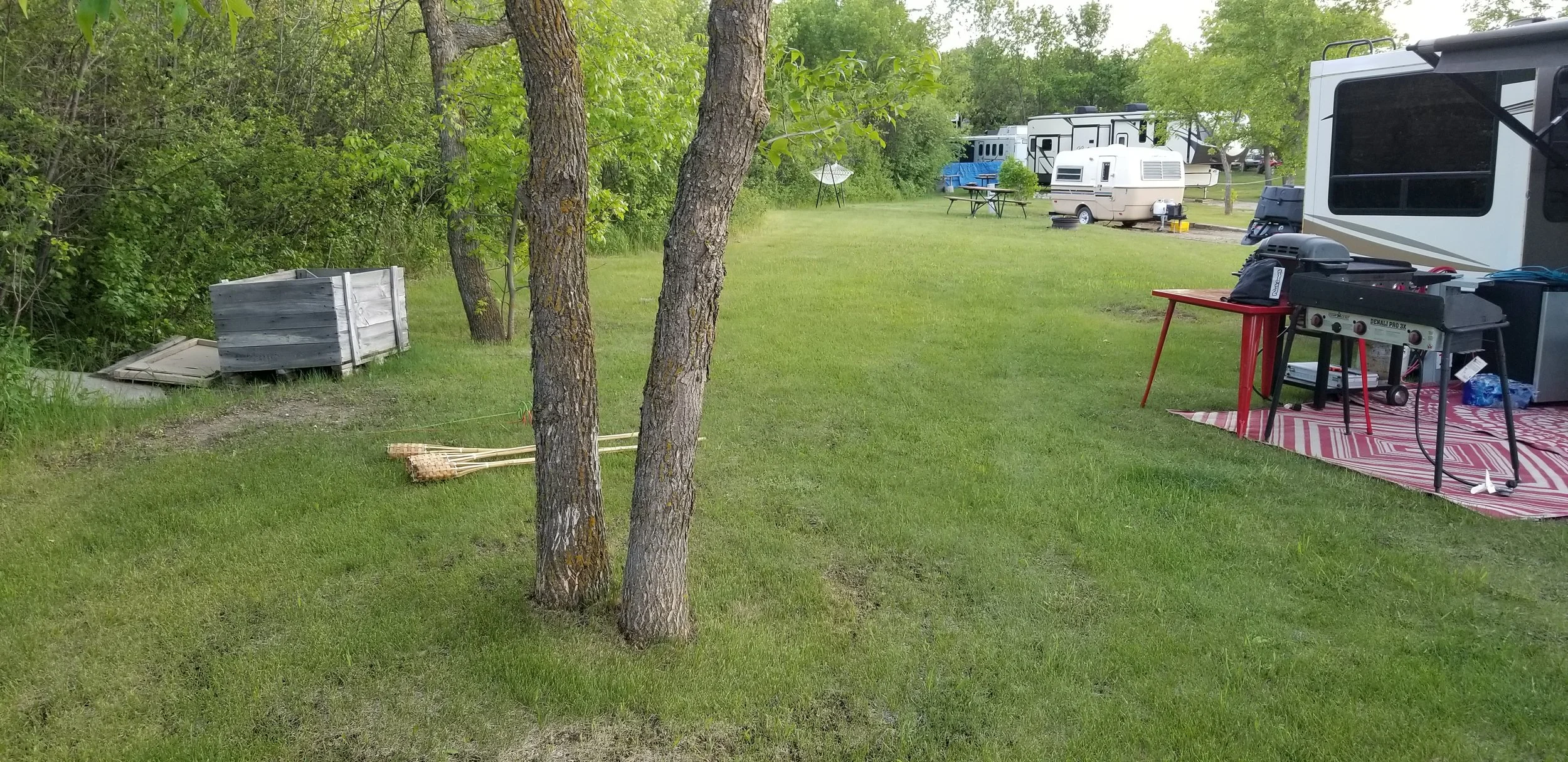 20210611_201731.jpg