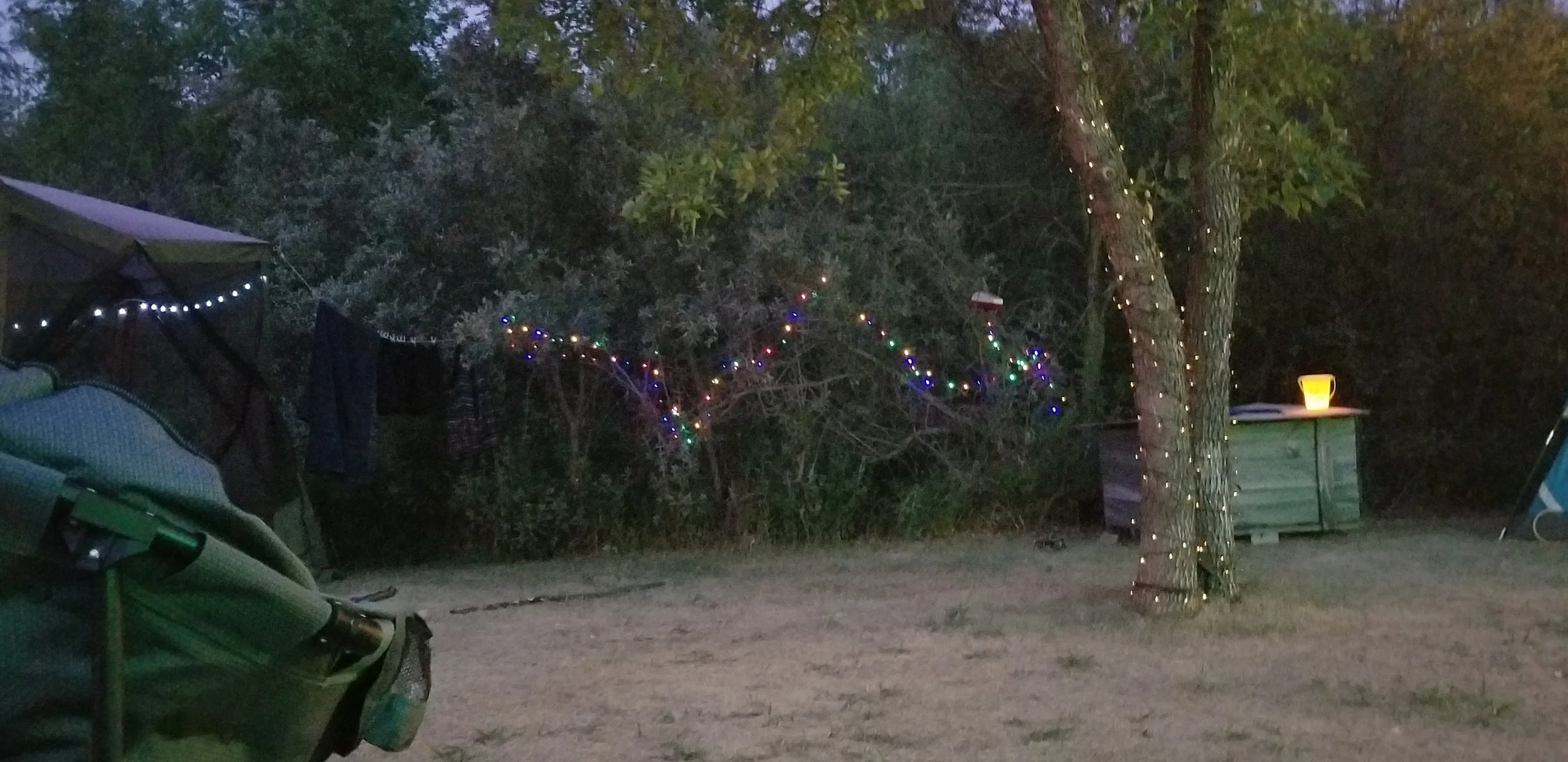 20210730_213526.jpg