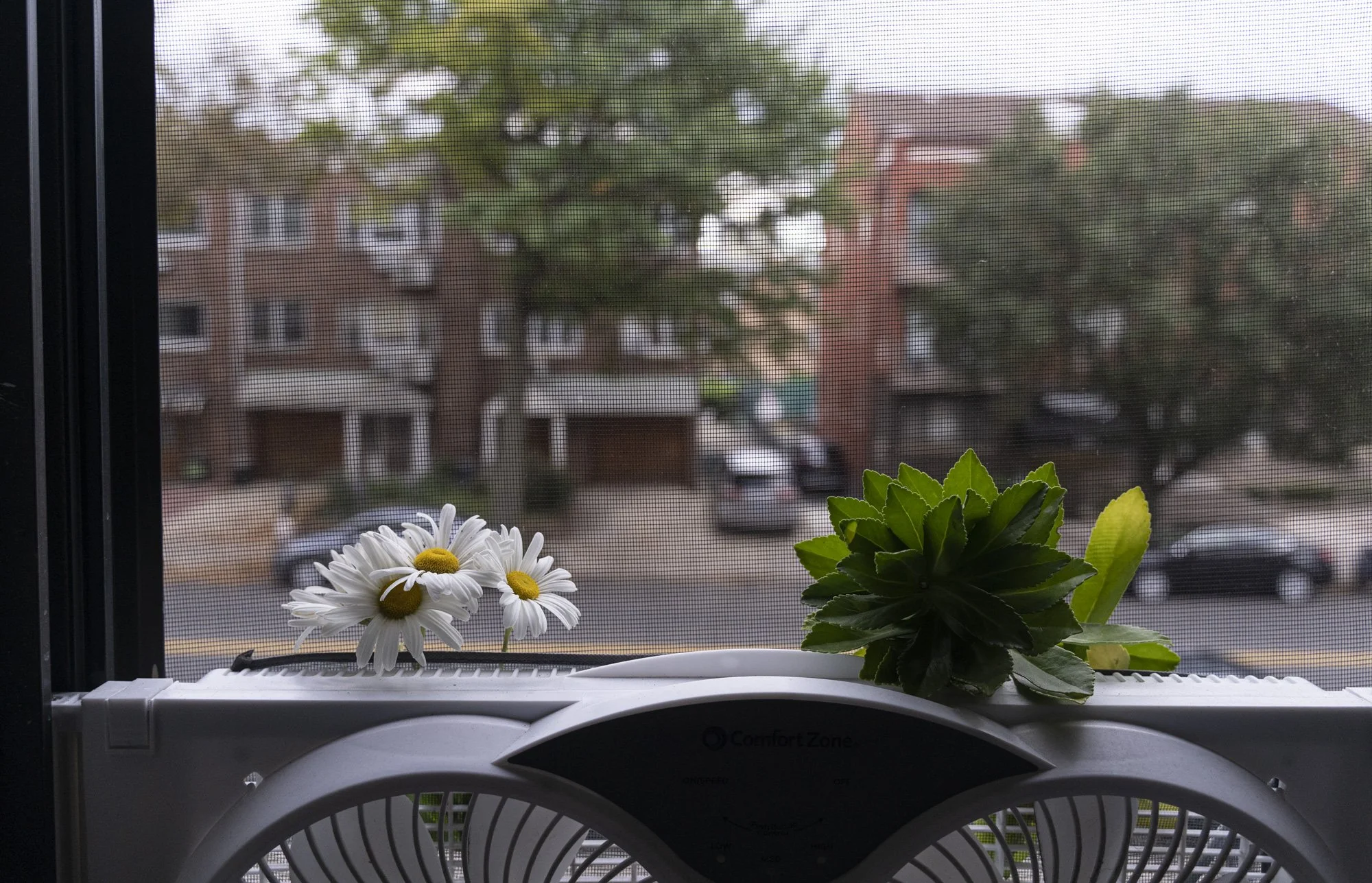 Documentary_The pair of Shoes_44.JPG