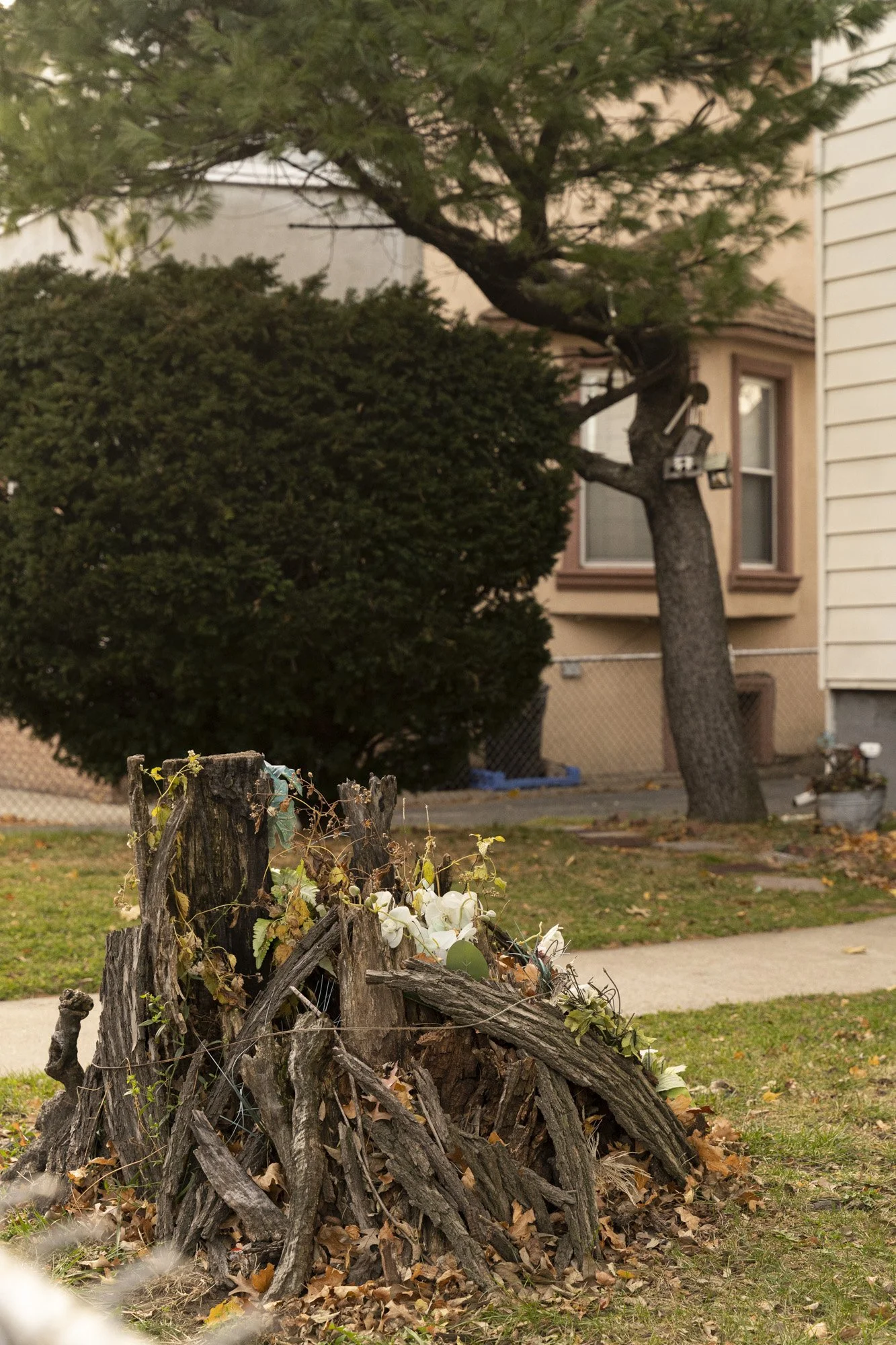 Documentary_The pair of Shoes_26.jpg