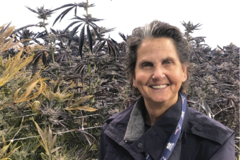 The Cannabis Queen of The Commonwealth, Ellen Rosenfeld of CommCan, Inc