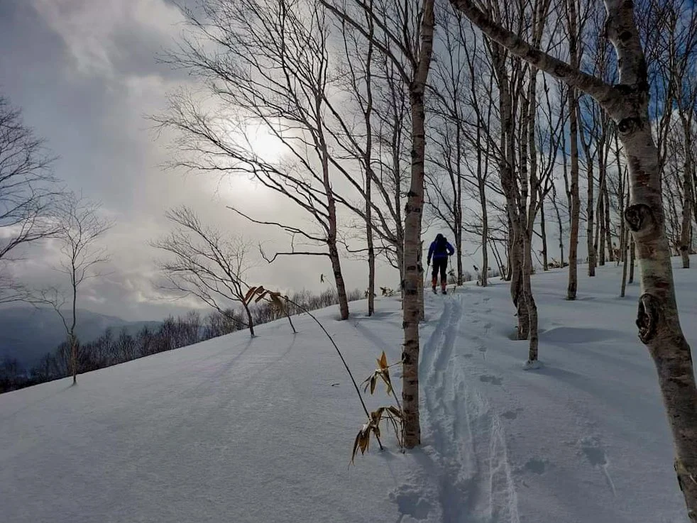 The Hero's Journey VIII - How to make better choices