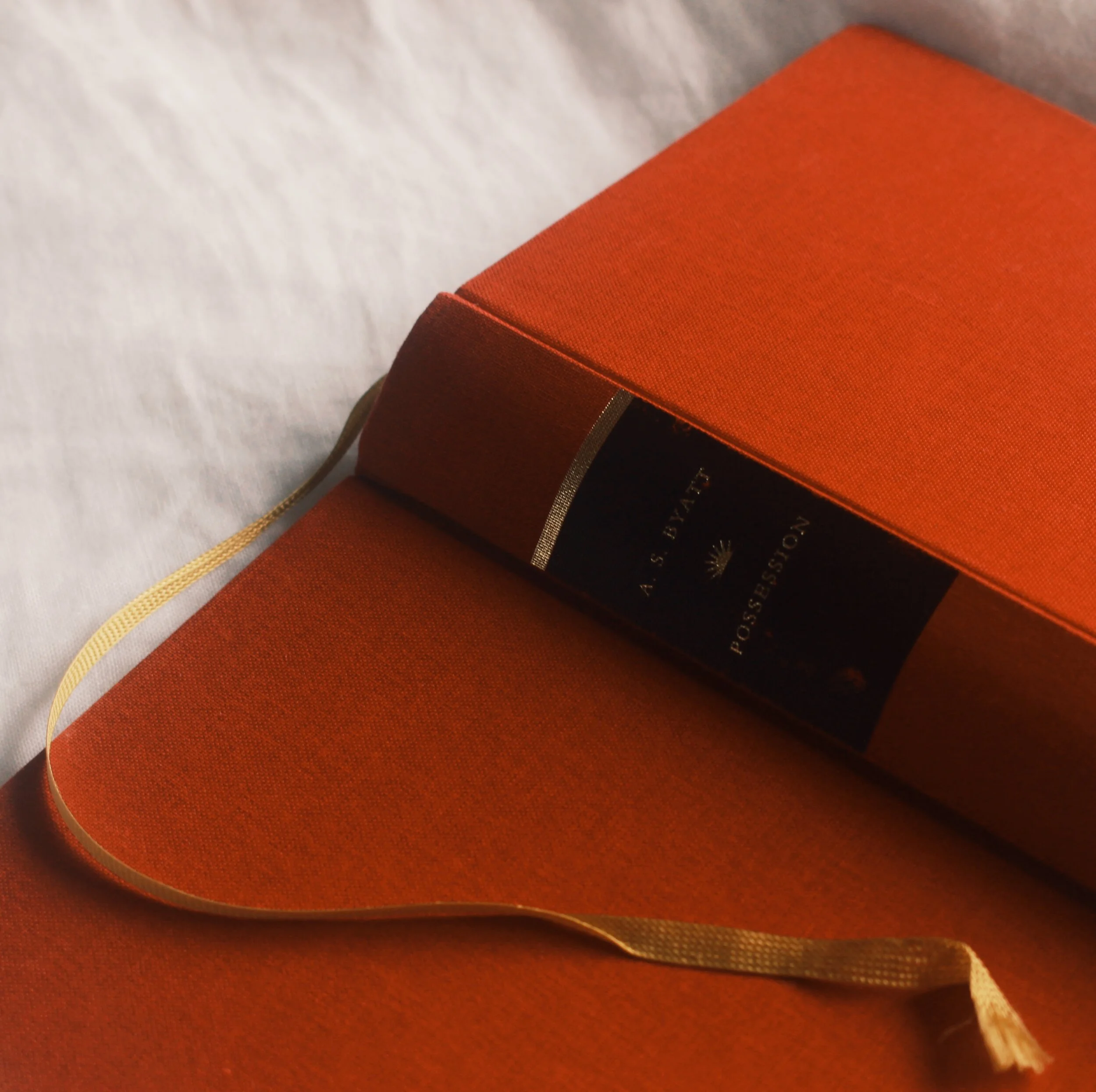 Get Book A.s. Byatt&#039;s Possession: A Reader&#039;s Guide PNG