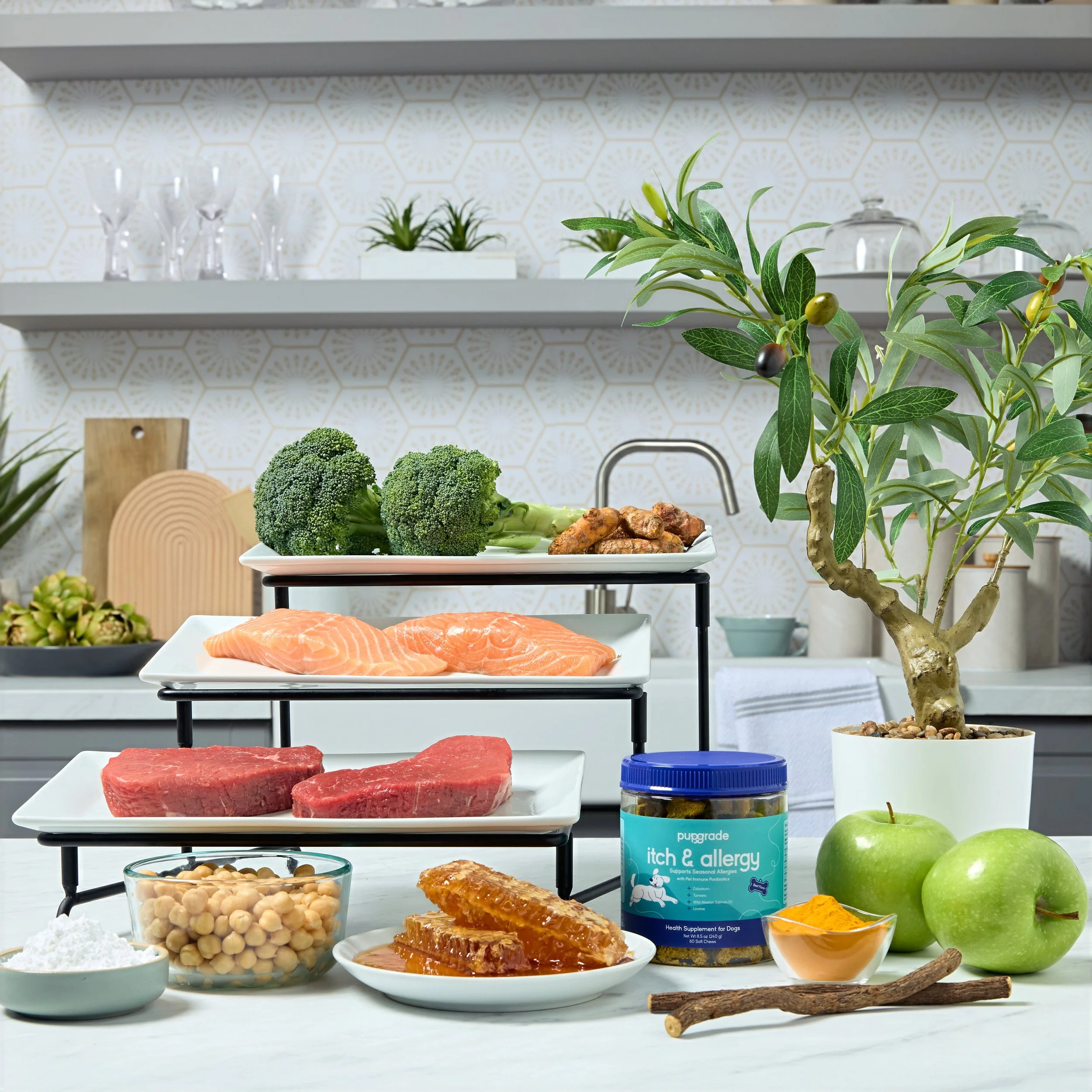 New Itch and Allergy6538.jpg