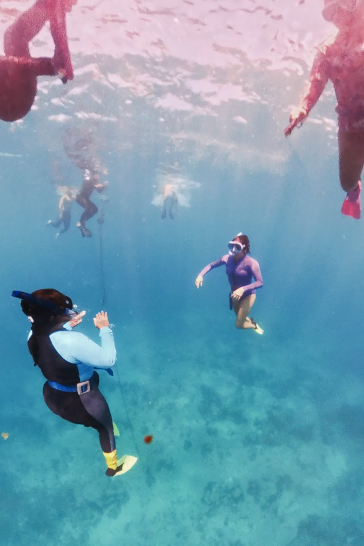 SCUBA+-+Training+3.png