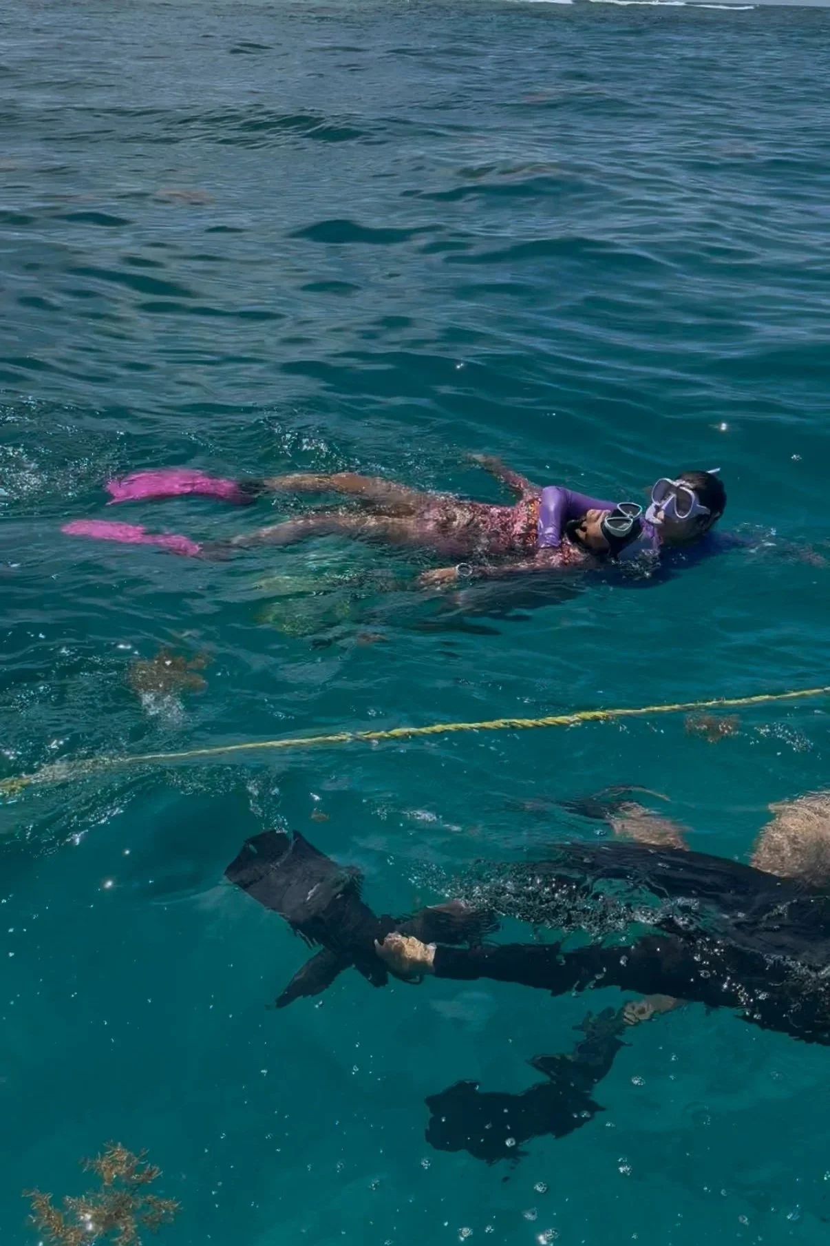 SCUBA+-+Training+1.jpg