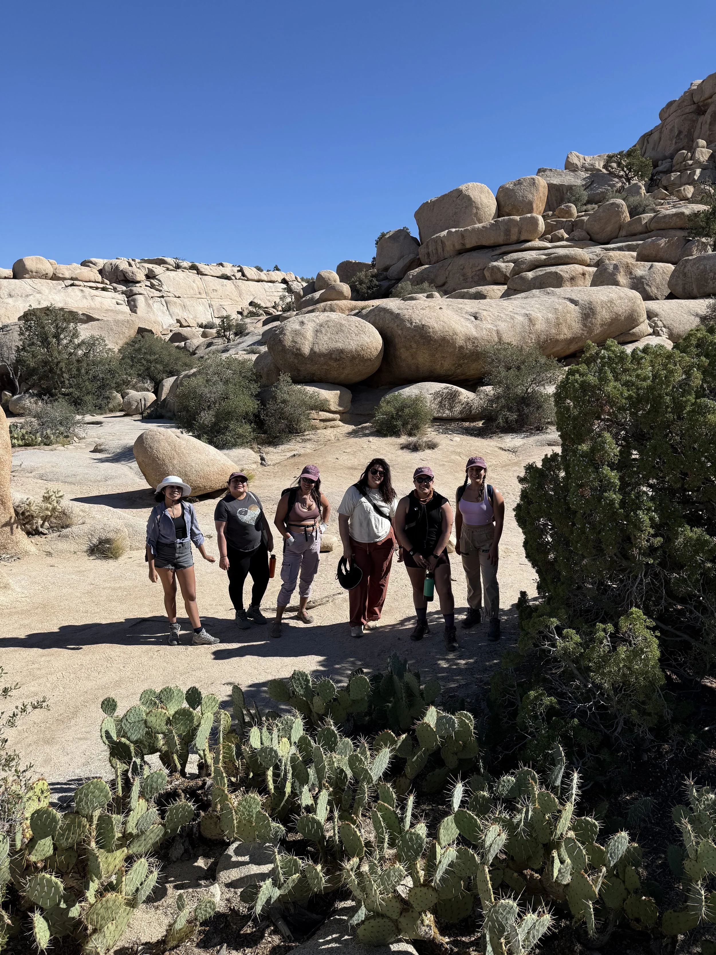 joshua-tree-group2.jpeg