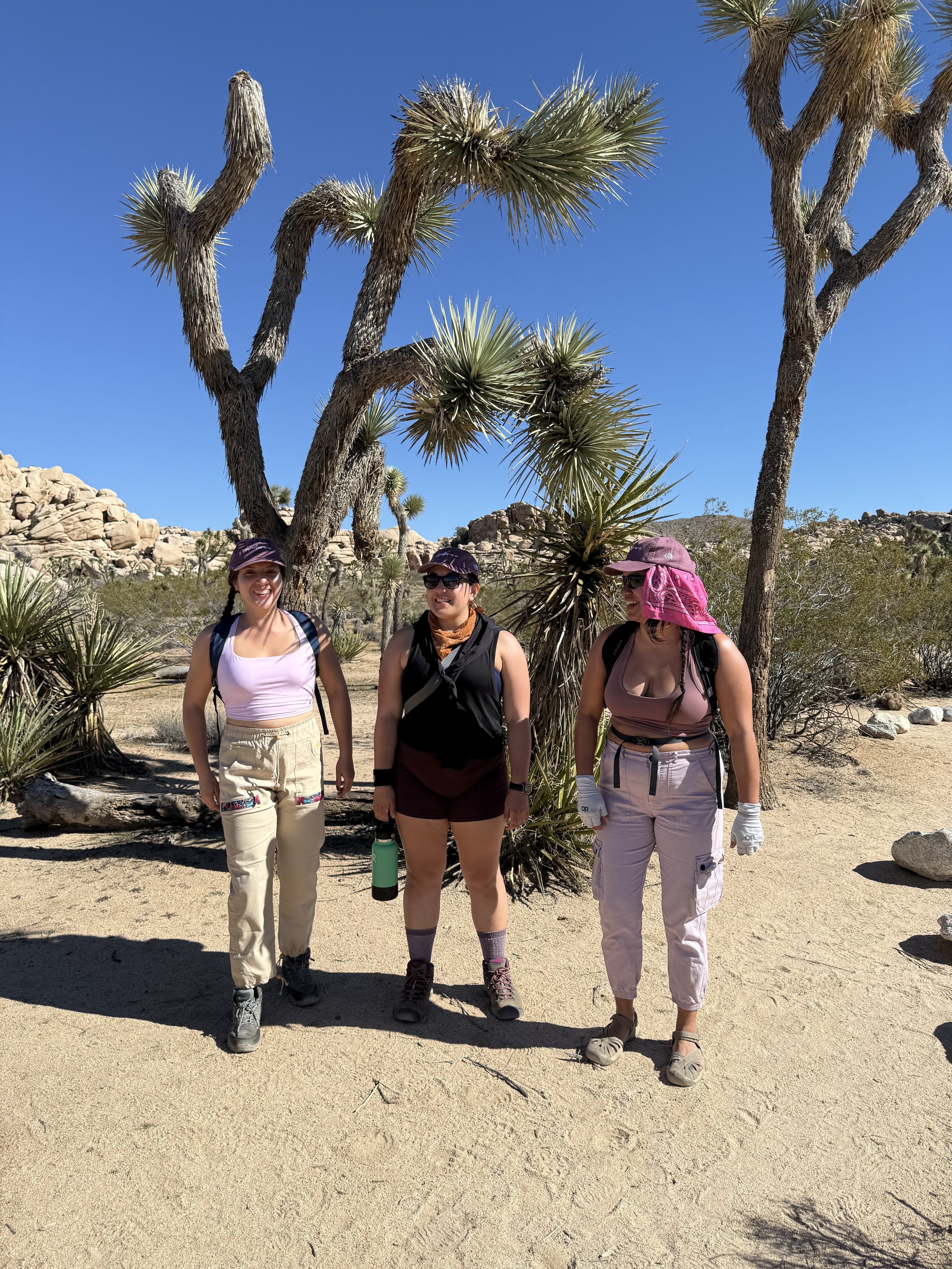 joshua-tree-ceci-crystal.jpeg
