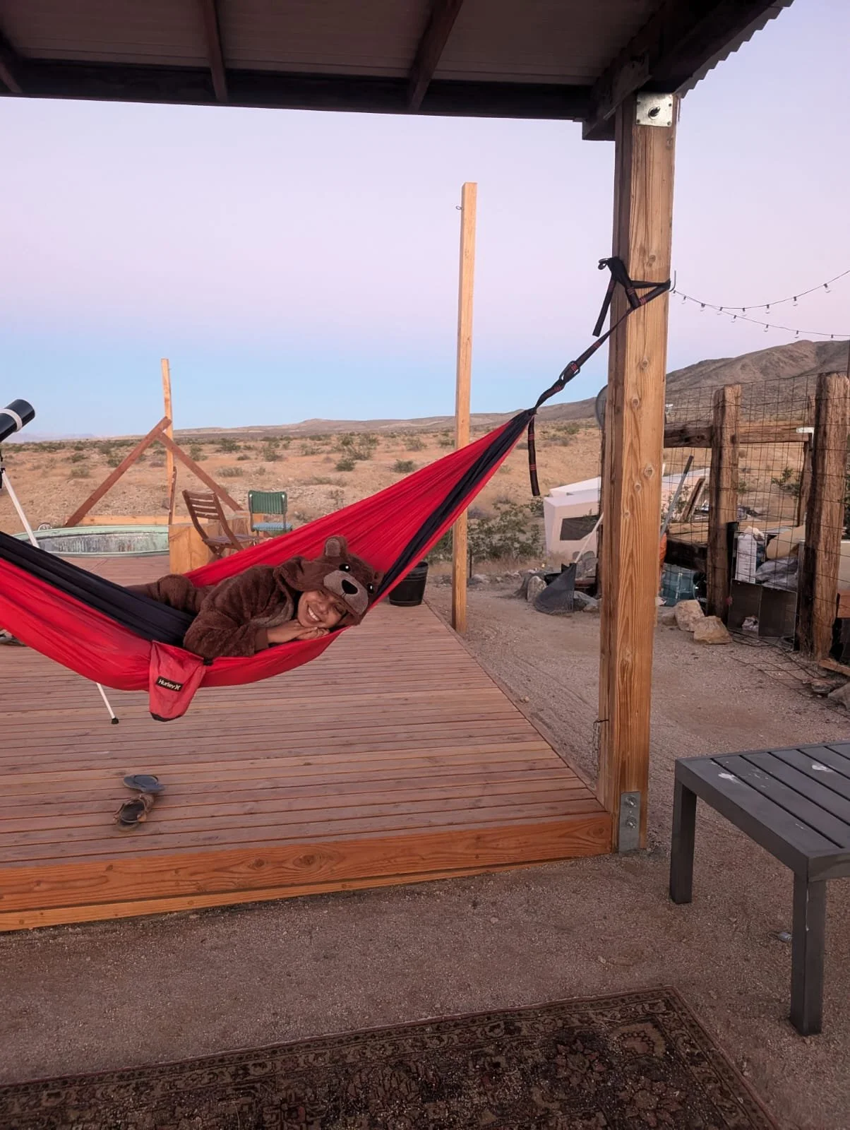joshua-tree-hammock.JPG