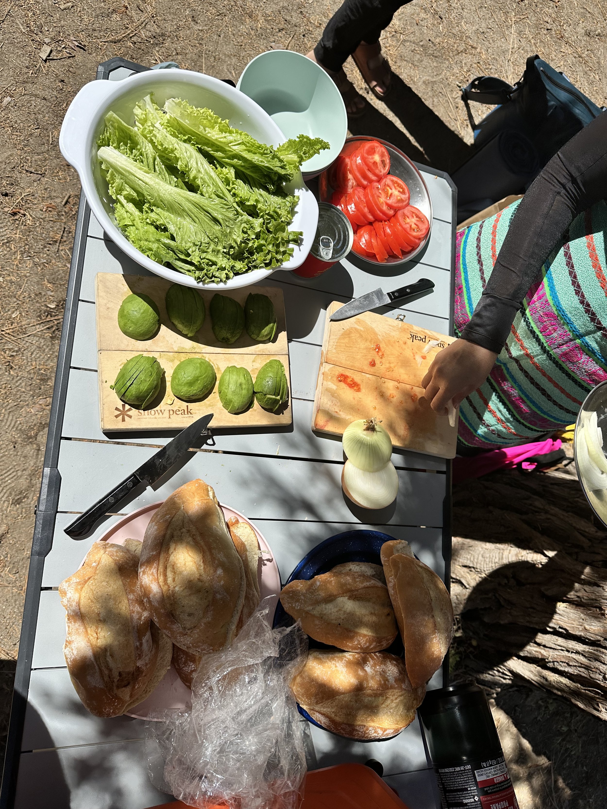 shaver-lake-cooking.JPG