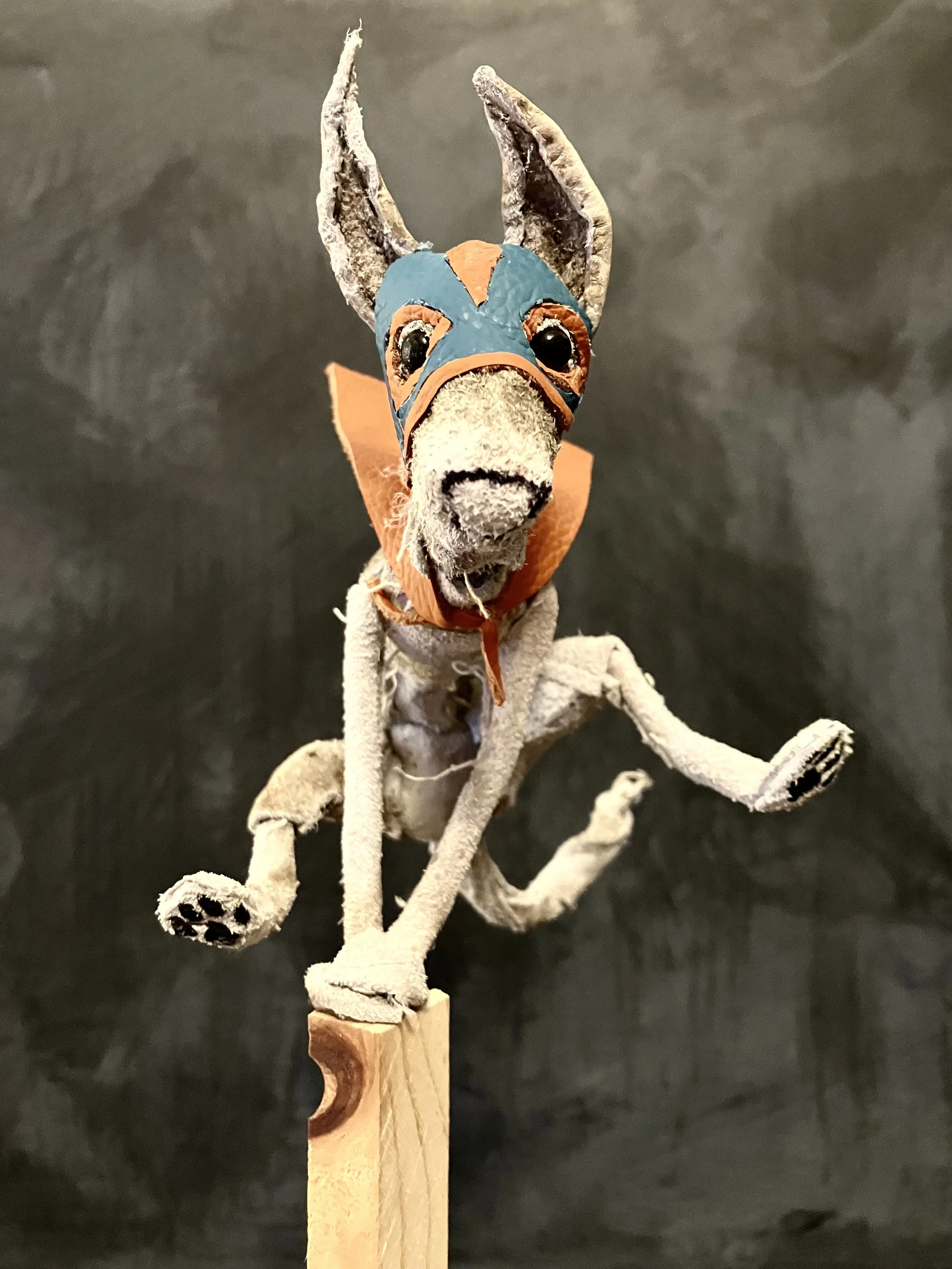 "Lucha Dog" 2026 (detail)