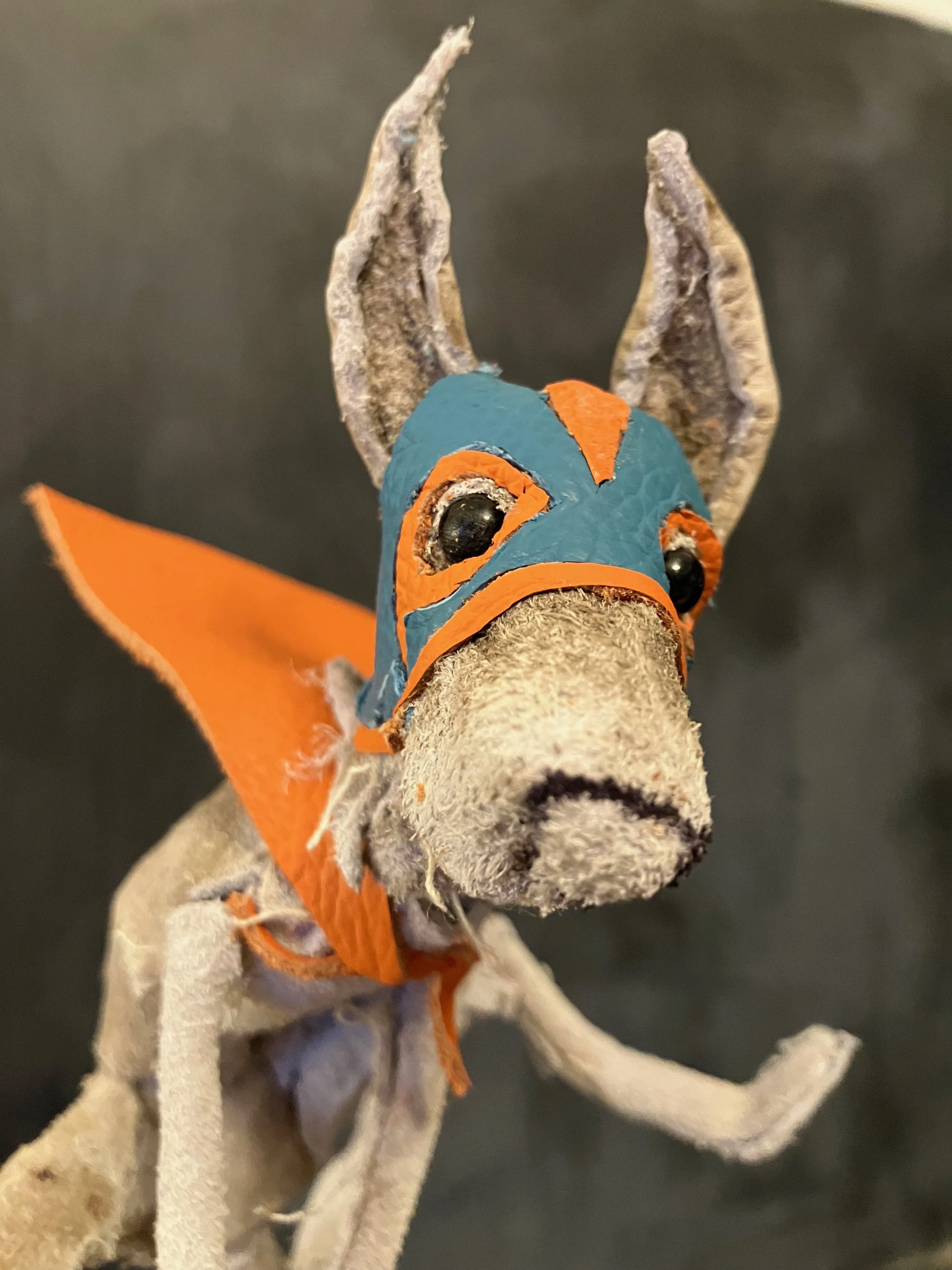 "Lucha Dog" 2026 (detail)