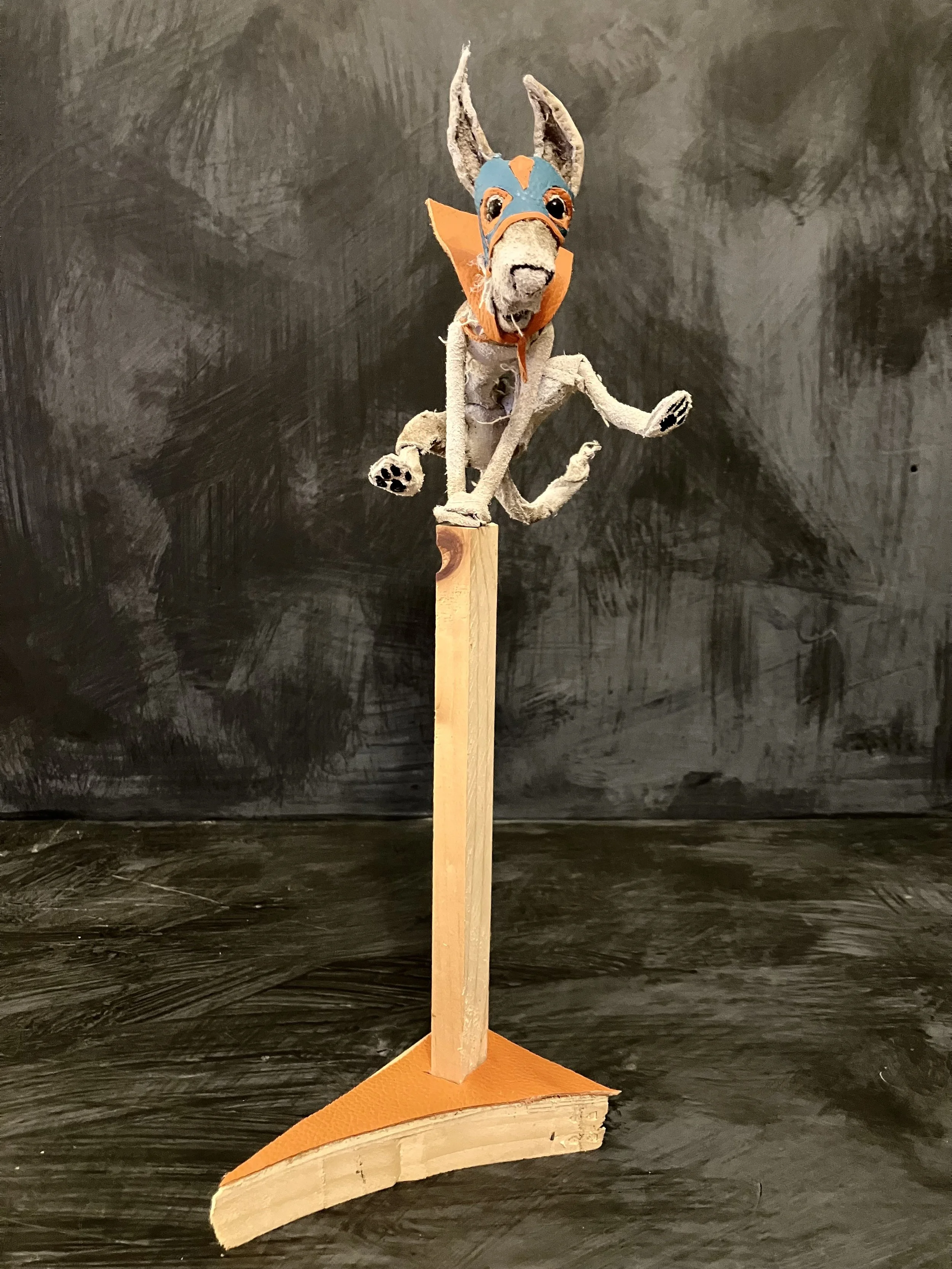 "Lucha Dog" 2026