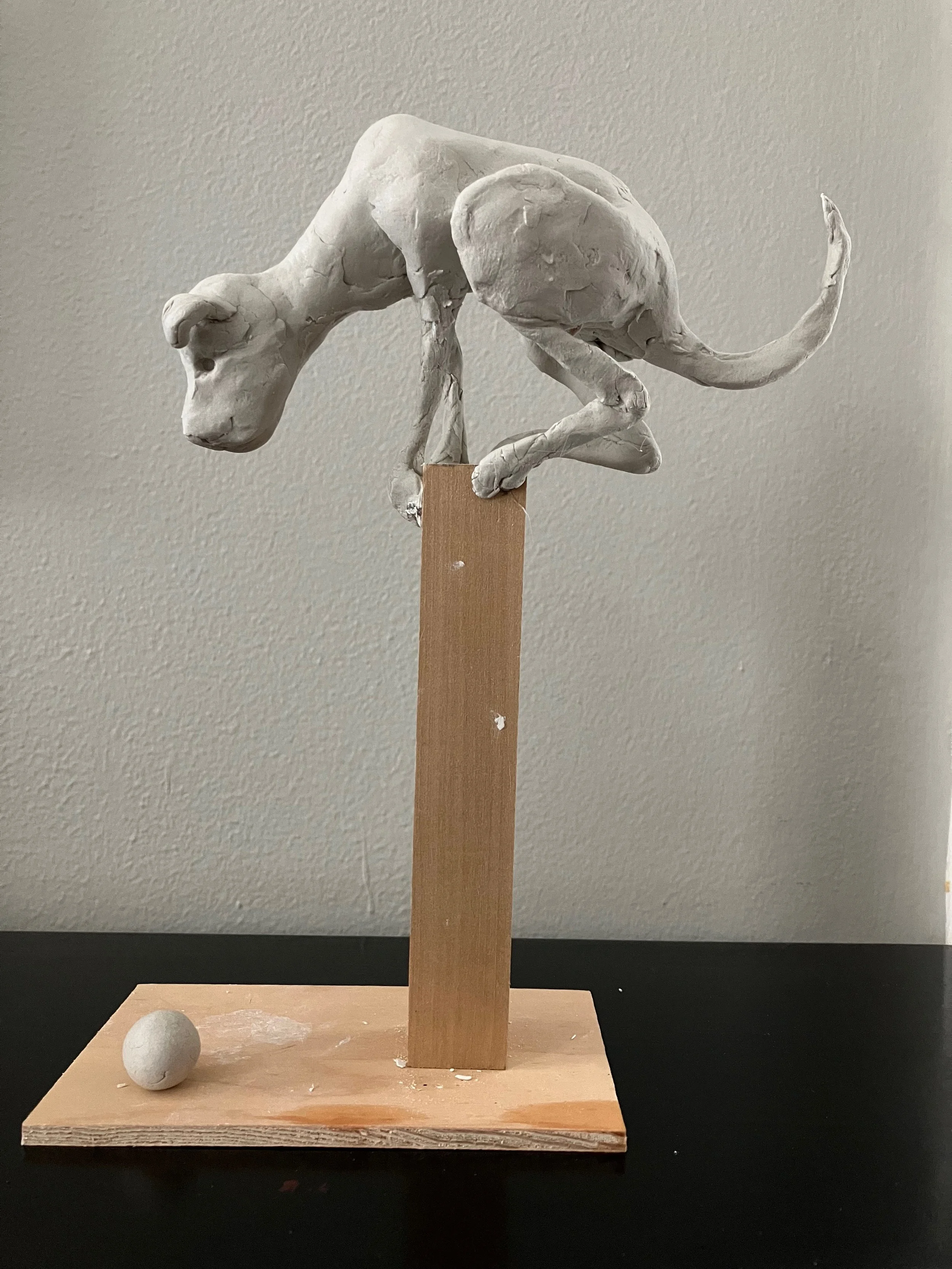 "apprehensive maquette" 2023