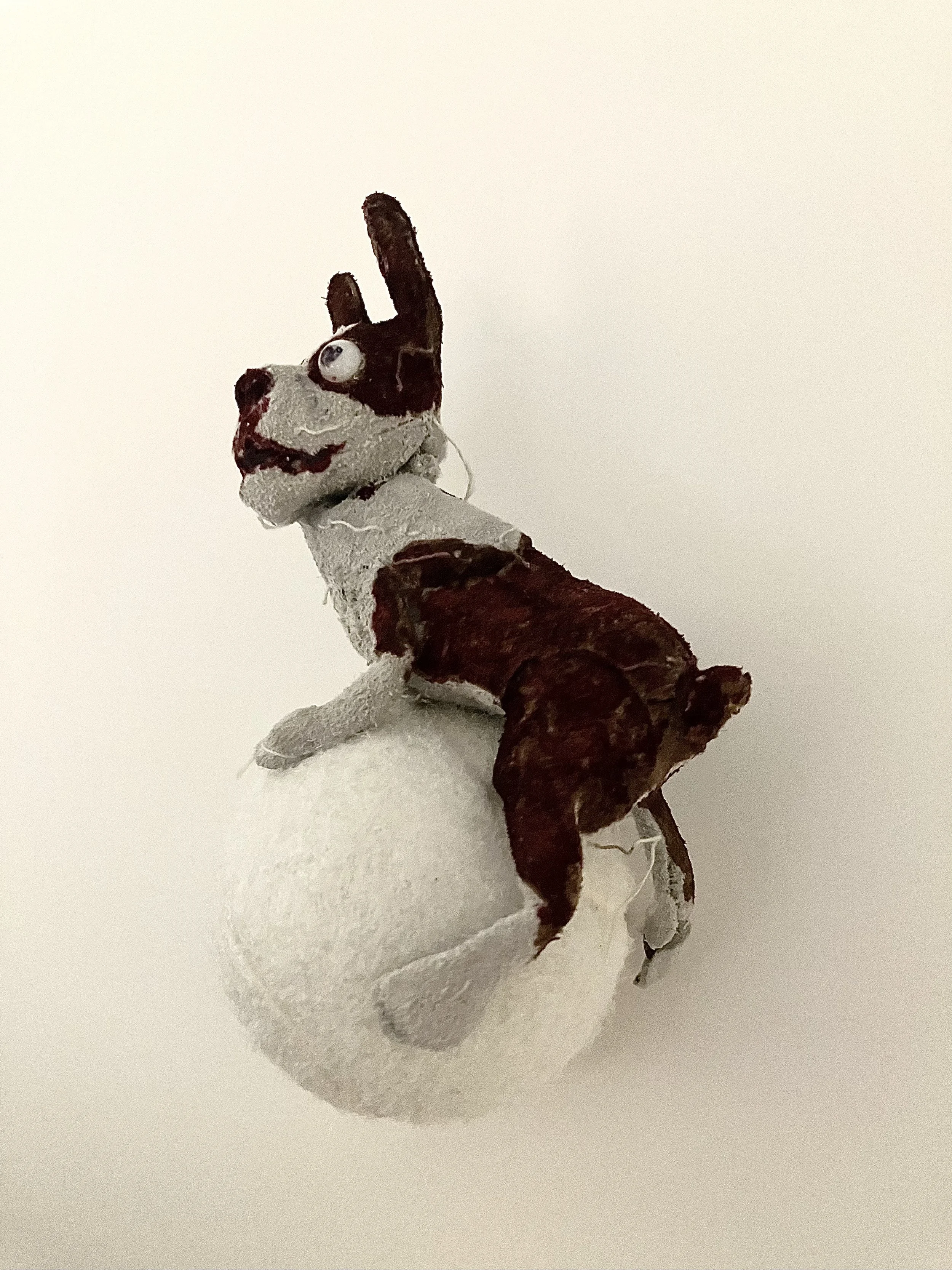 "Happy the Dog" 2026