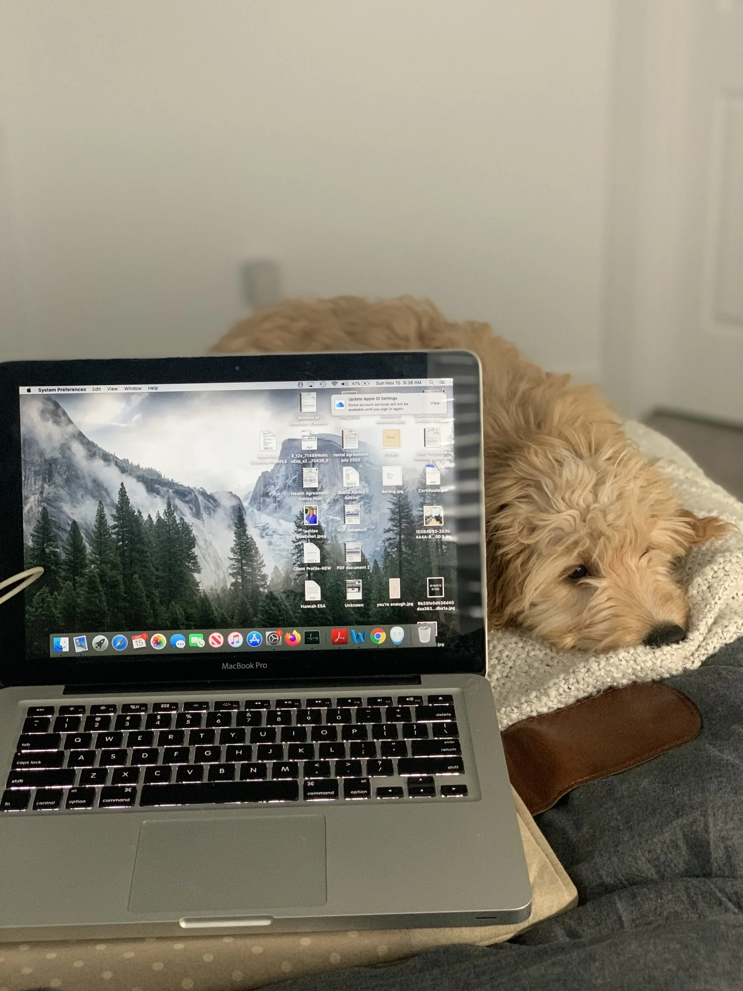 Online Therapy in Utah: 4 Reasons To Try It in Salt Lake City