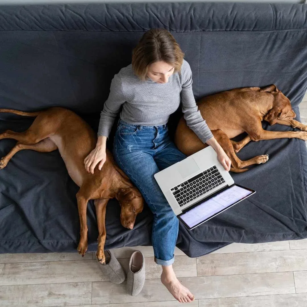 Online Eating Disorder Therapy: A Therapy Guide