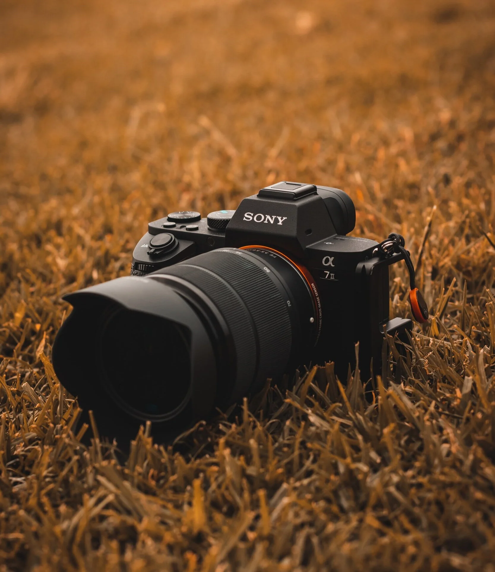 unsplash-image-sgXF7Vl3Yek.jpg