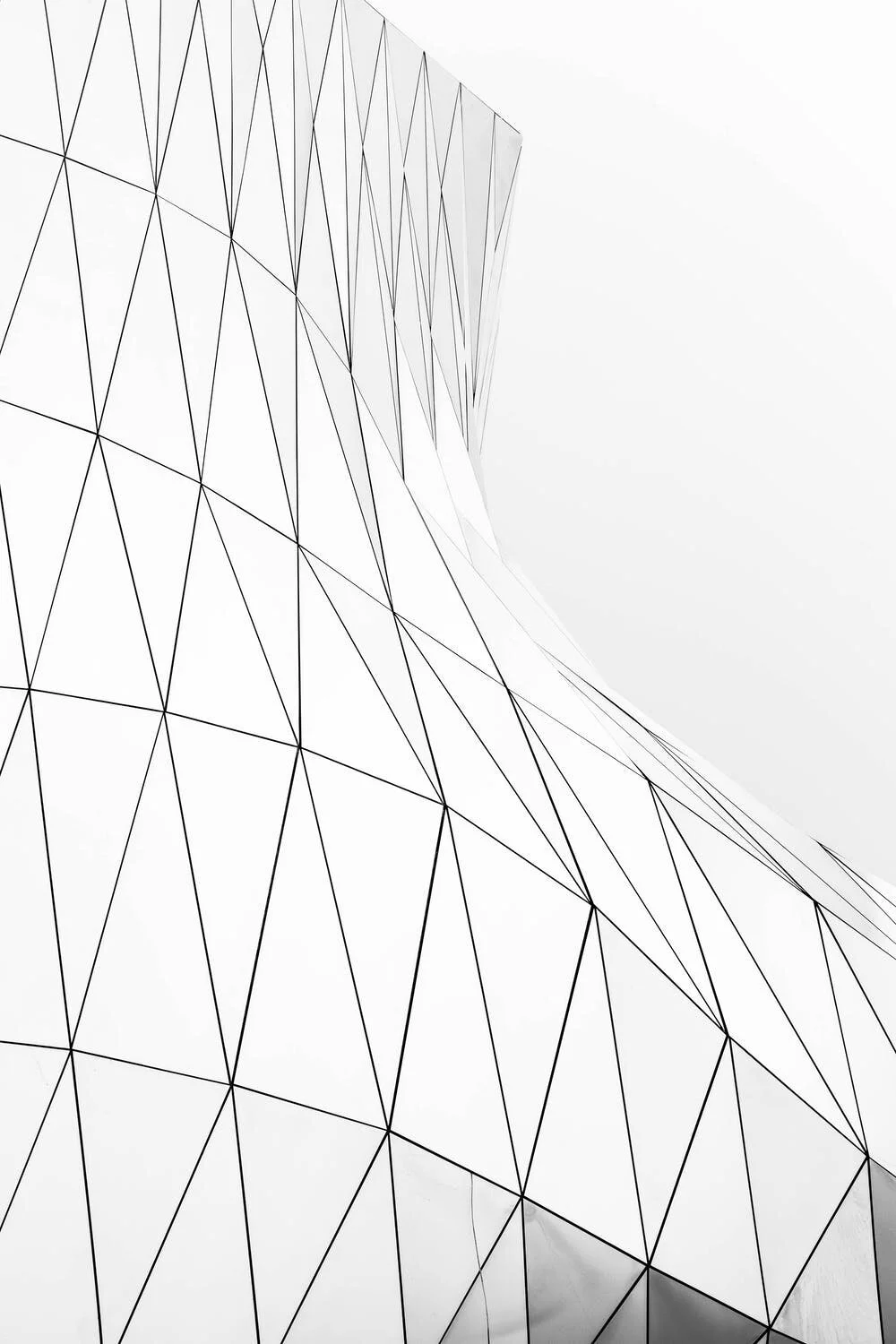 pexels-photo-3137076.jpeg