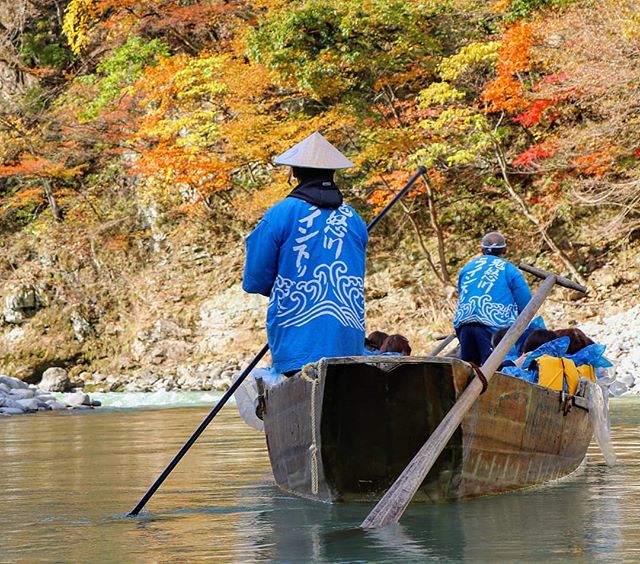 Autumn in Nikko aka Going to sail away on this boat if labour don't win tomorrow. 
#votelabour #fortheloveofgod #autumn #boats #nikko #autumnleaves #fall #koyo #tochigi #tradition #Japan #Japangram #traveljapan #seejapan #travel #Japan2020