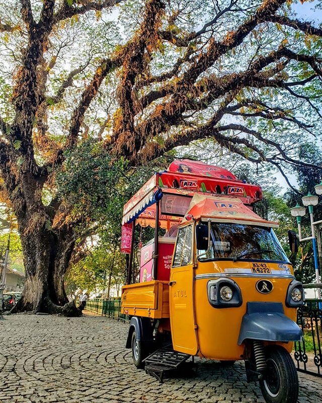 The three inevitable elements of India: tuktuks, chai stands and street dogs.

#India #travel #chai #streetdogs #tuktuk #kerala #southindia #madurai