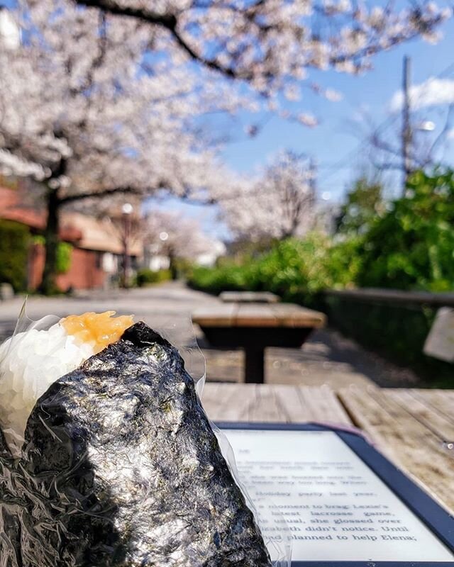 Traveling this spring was all about Setagaya, using the bike @pheebzeatz kindly lets me foster when I'm here.