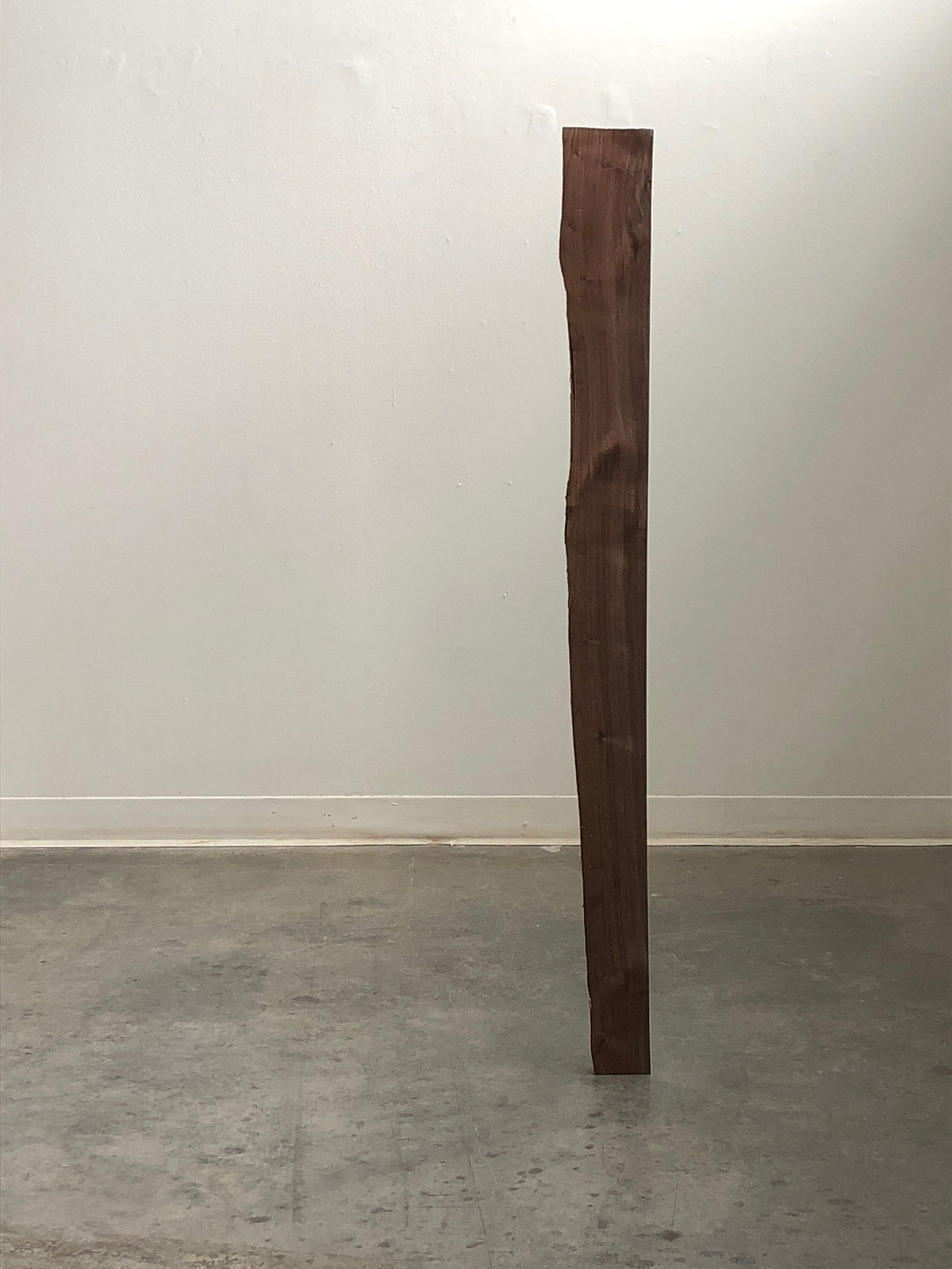 A study of Empathy in Walnut2.jpeg