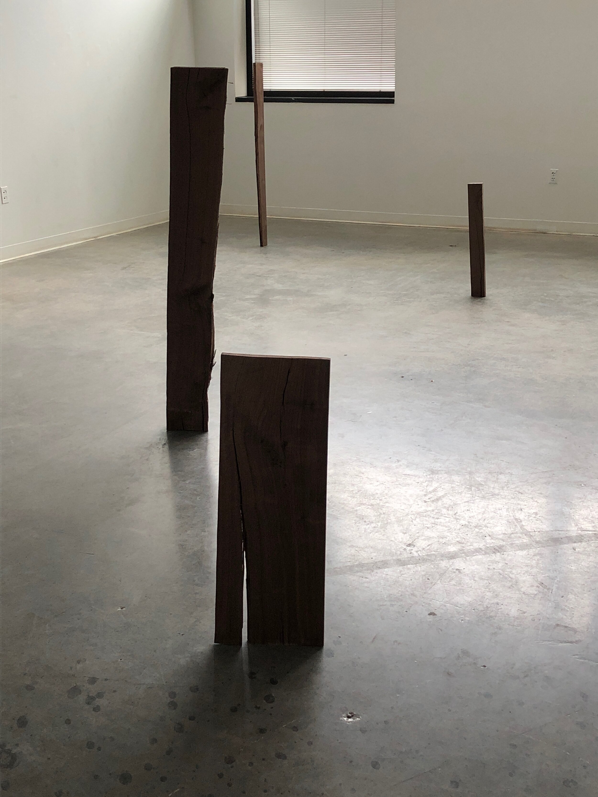 A study of Empathy in Walnut1.jpeg