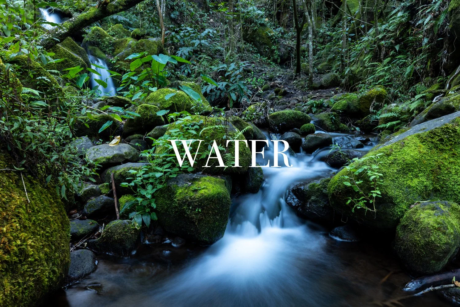Water