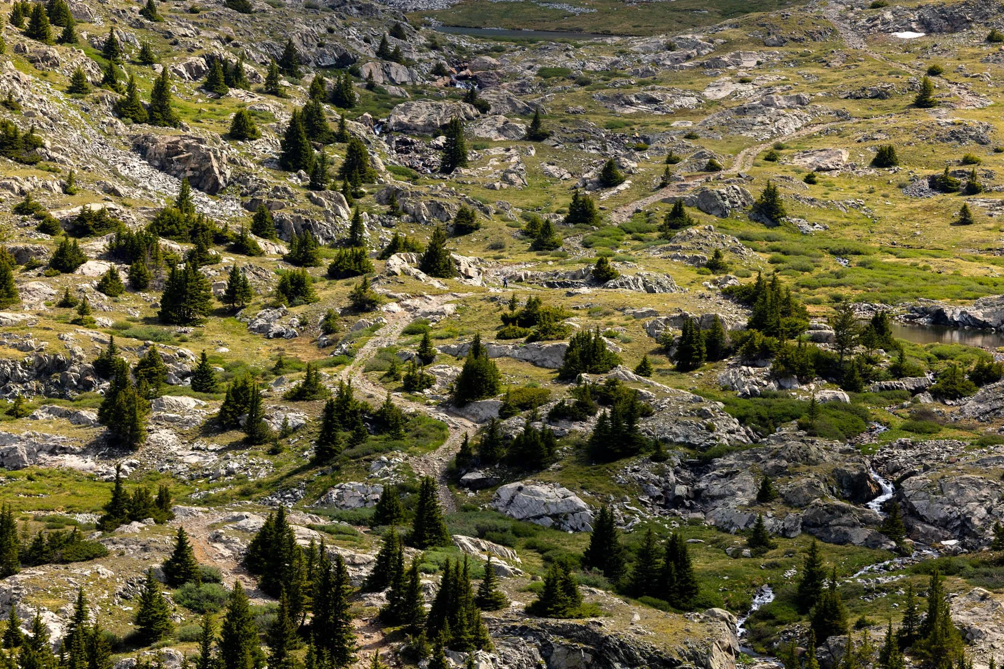 KeirnsD_Yellow Brick Road.jpg