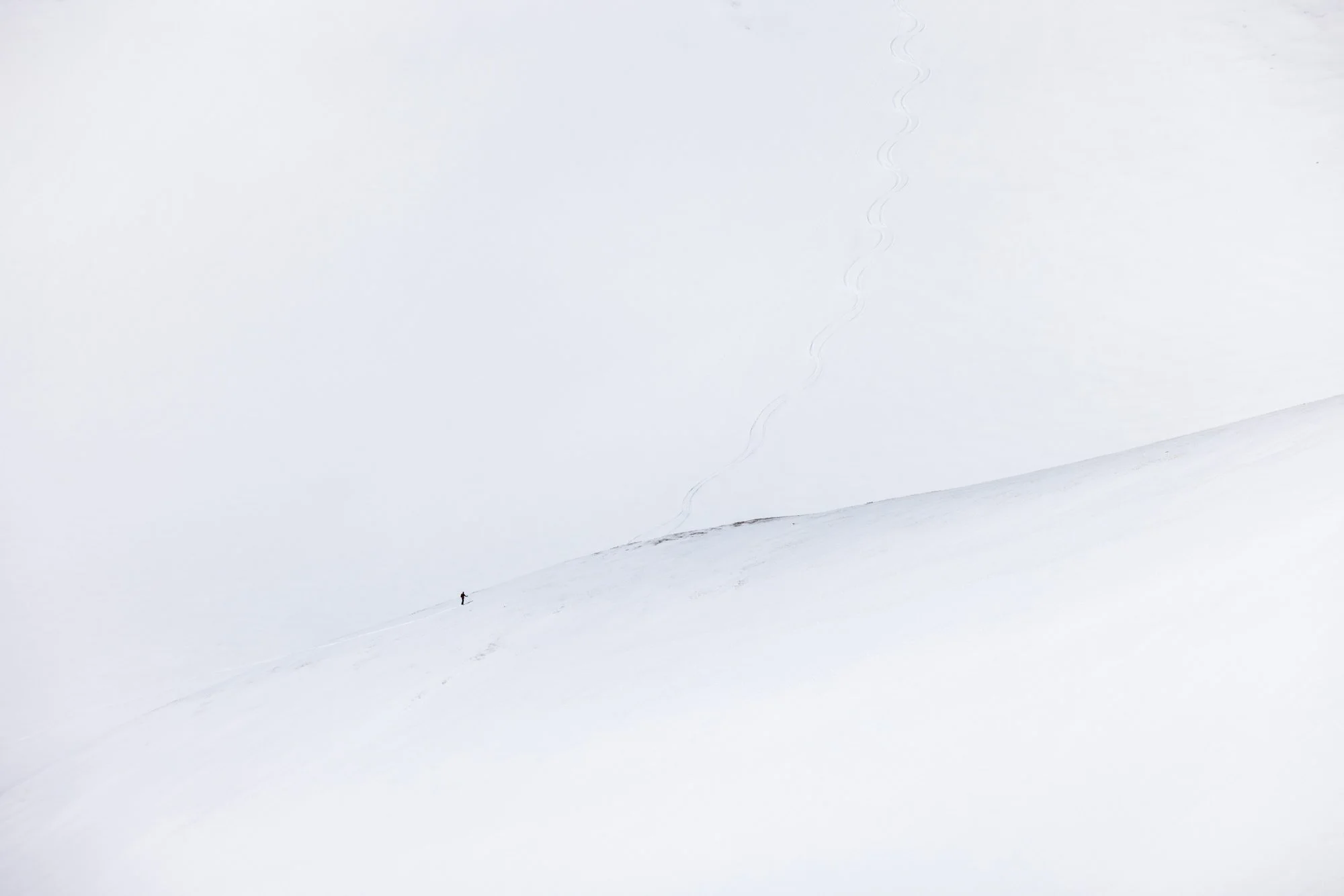 KeirnsD_What Goes Up.jpg