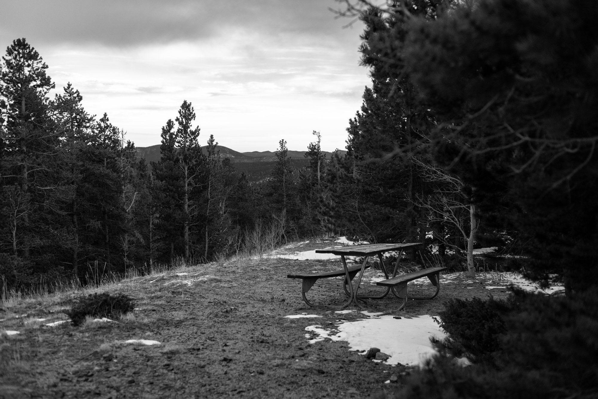 Open Table, Longs Peak Trailhead, CO 2026