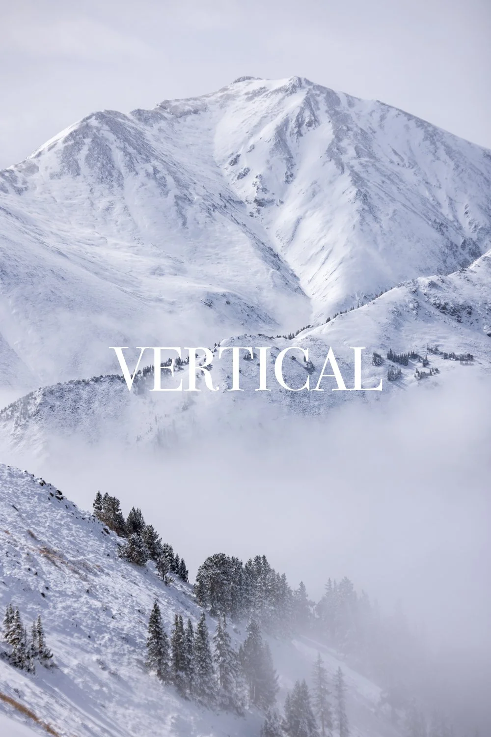 Vertical.jpg