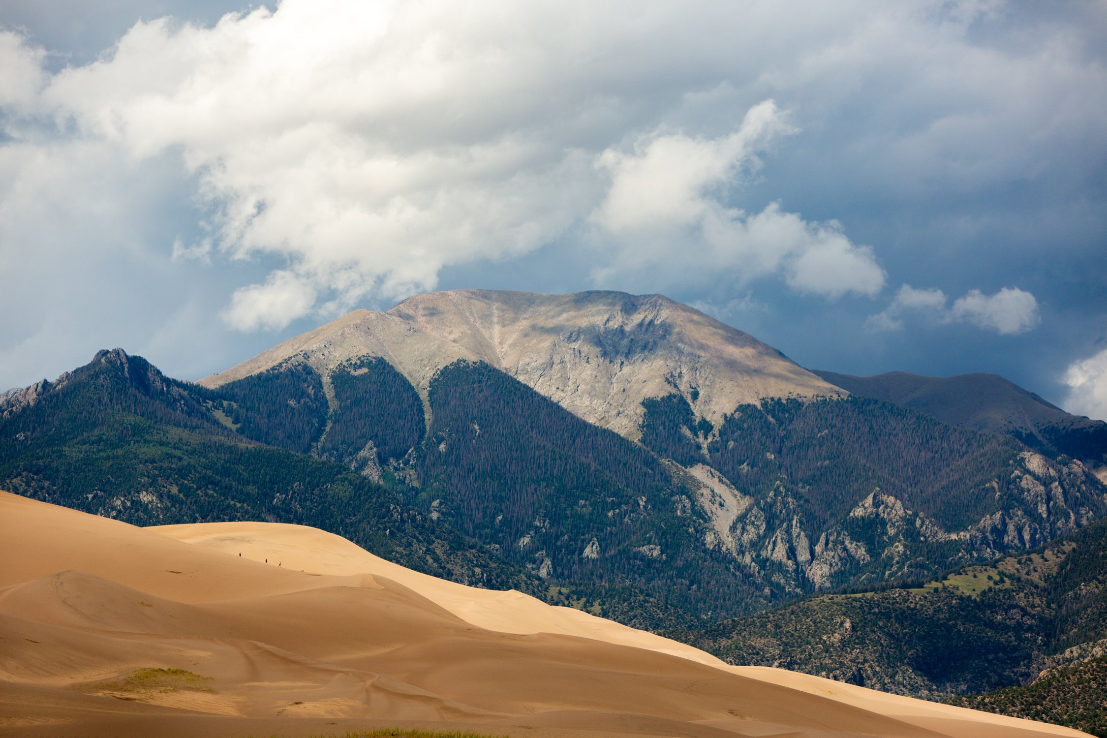 Migration, Great Sand Dunes NP, CO, 2019