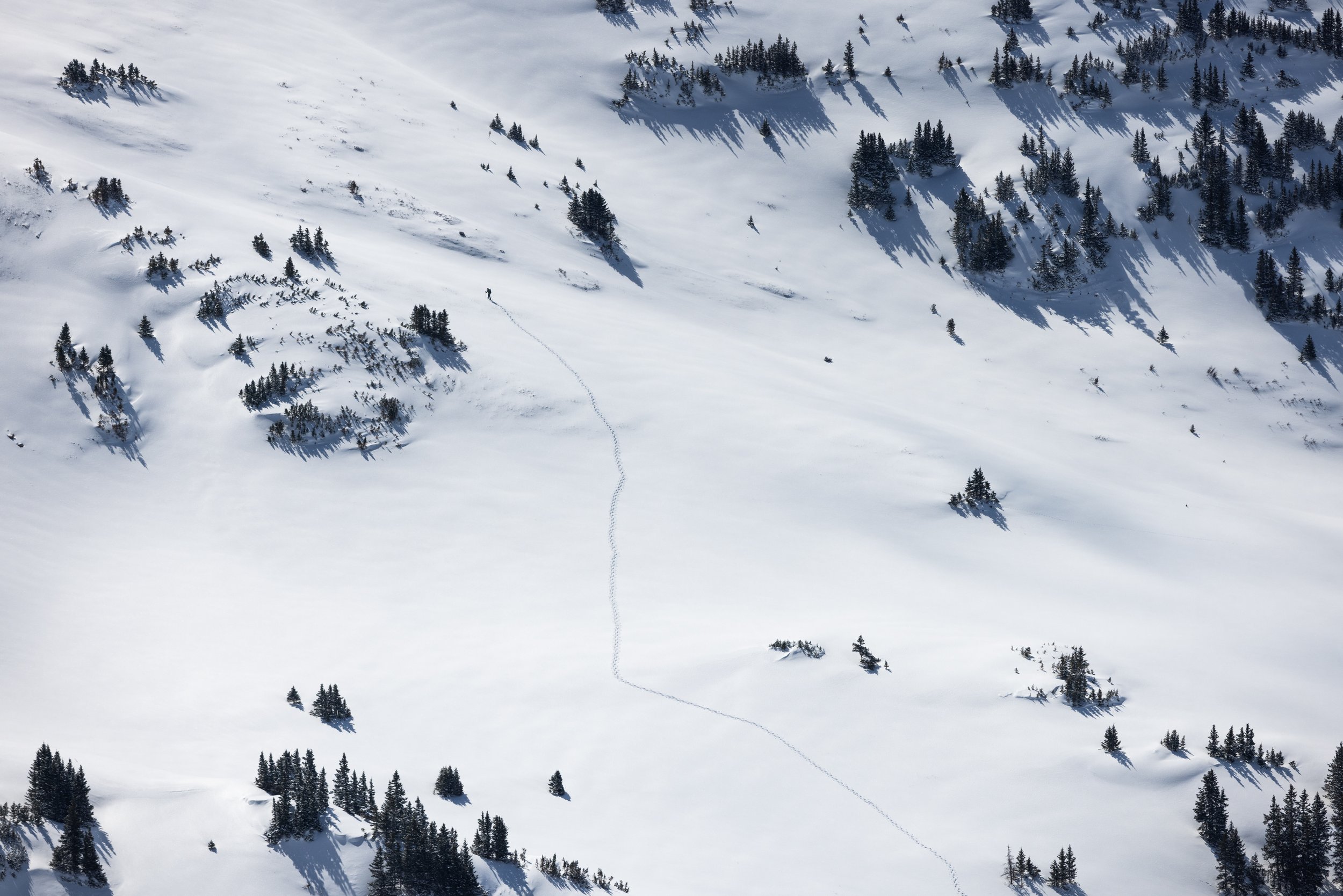 Footprint, Mt. Parnassus, CO, 2023