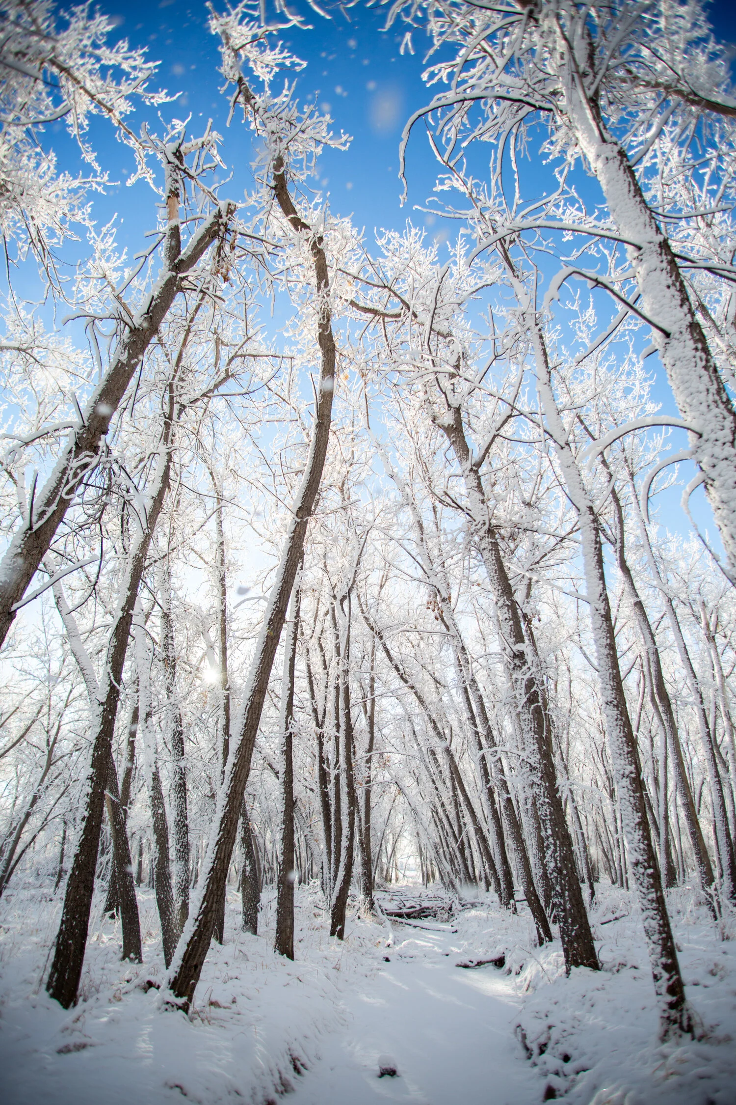 Mar 19 Add Med-11.jpg