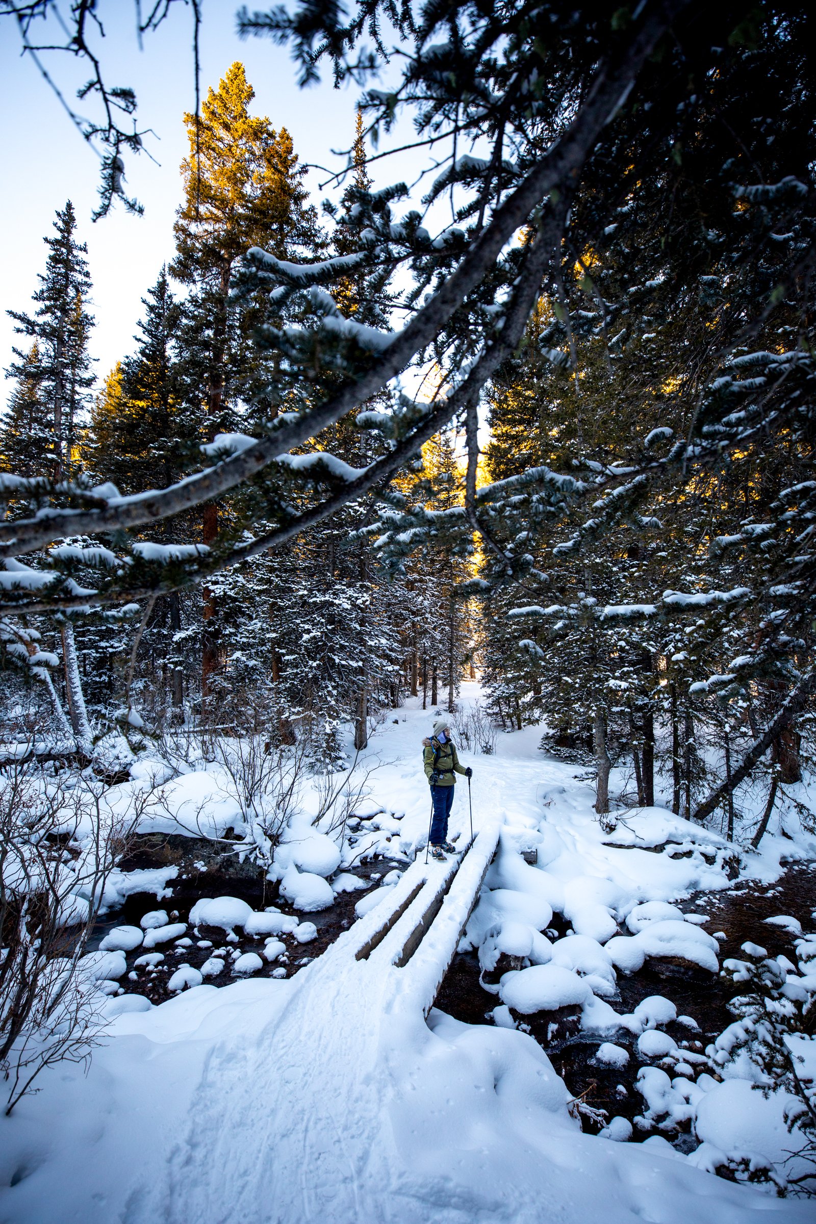 My Dear Snow Angel, Chicago Lakes Trail, 2022. A dear late friend enjoys the view along the Chicago Lakes Trail in the Front Range. The lakes were a popular outdoor destination even before the National Forest was established.
