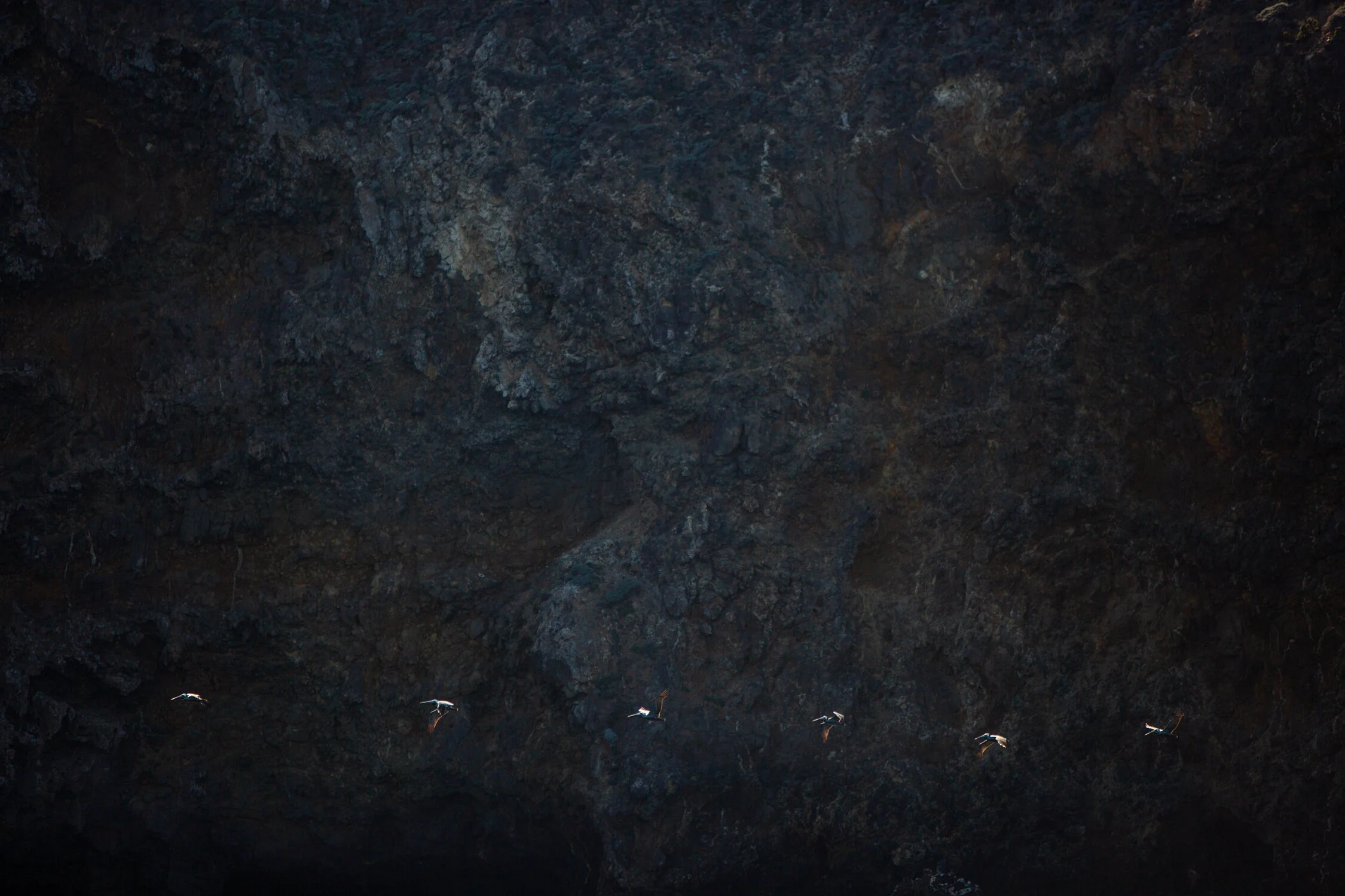 Mar 19 Add Med-20.jpg