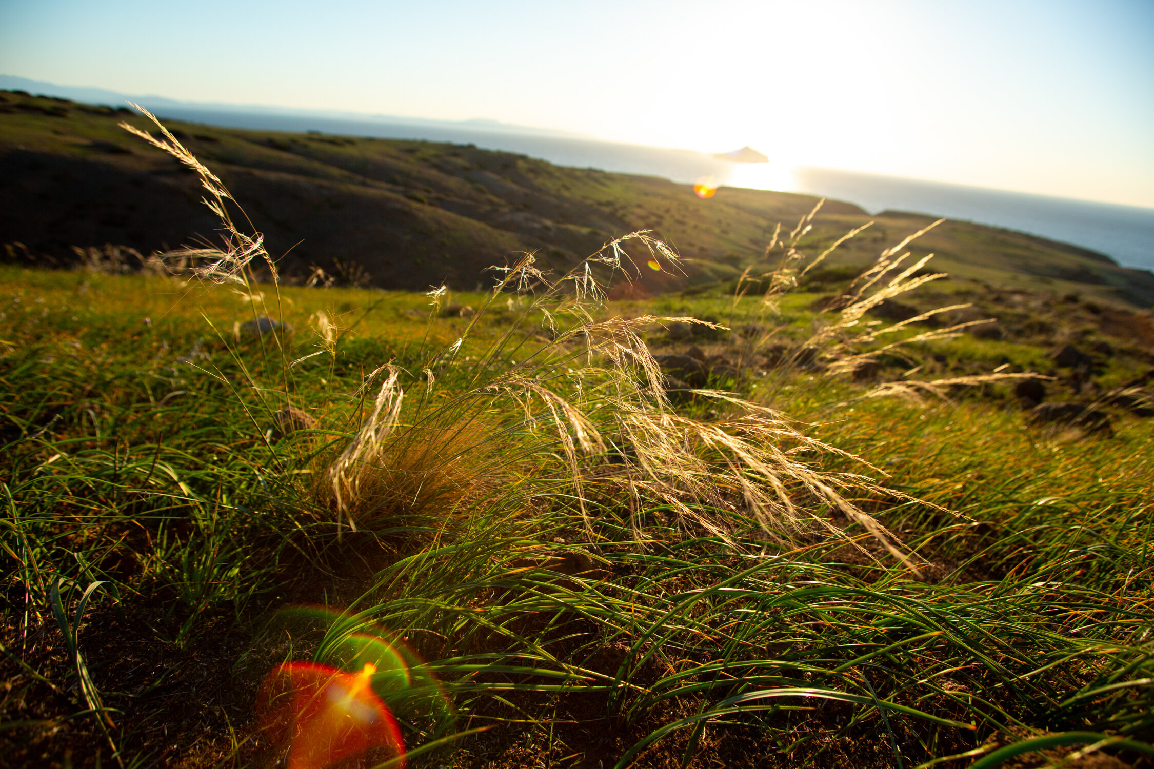 Mar 19 Add Med-35.jpg