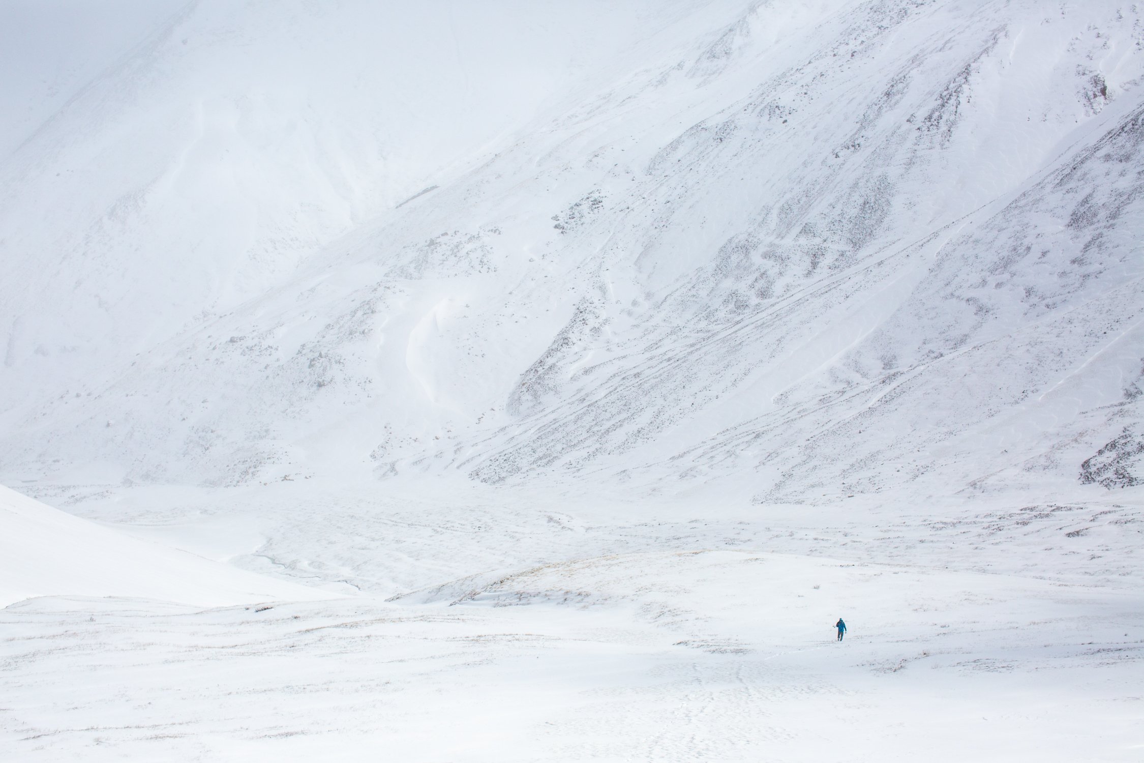 Whiteout, Redcloud Peak, CO, 2020