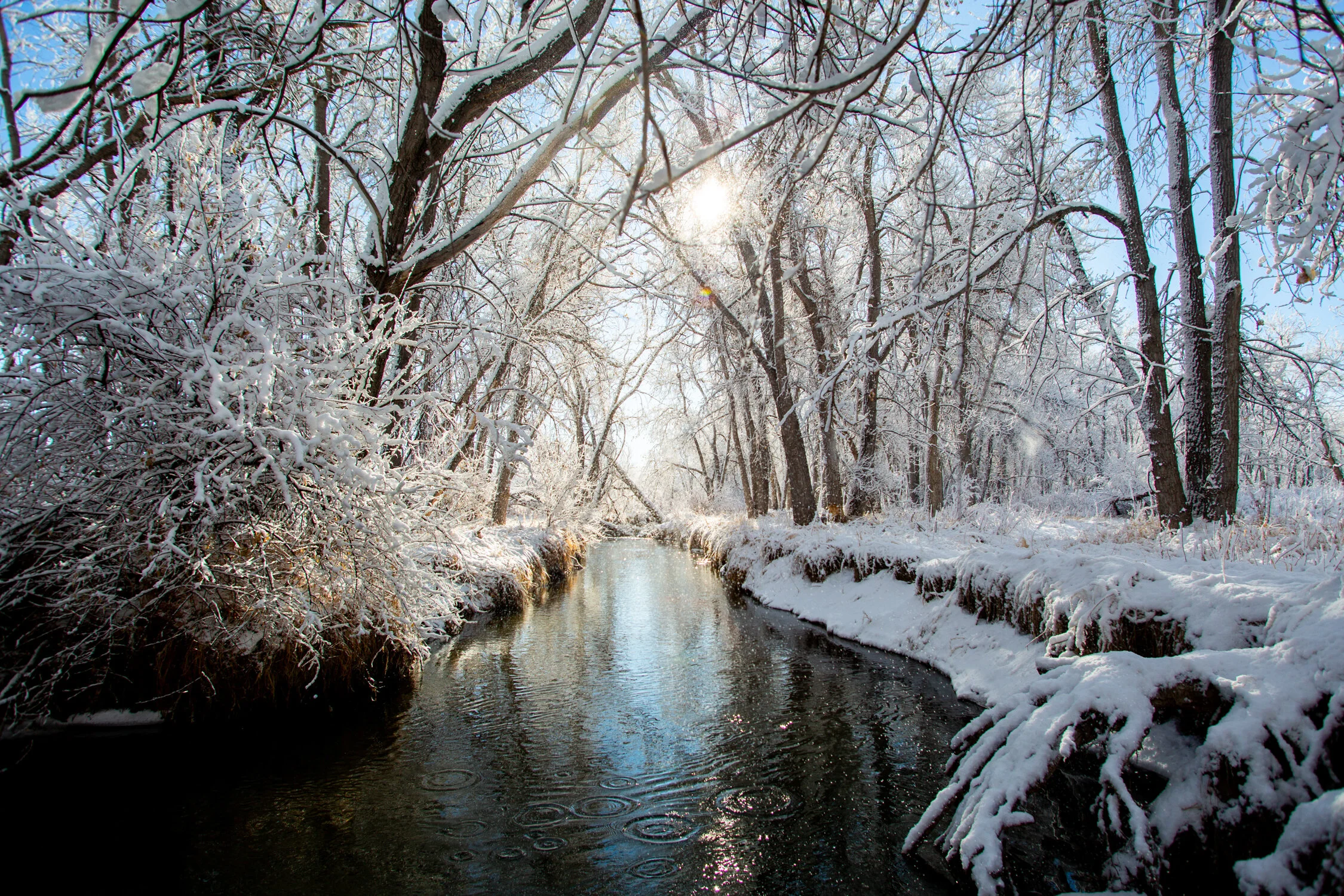 Mar 19 Add Med-18.jpg